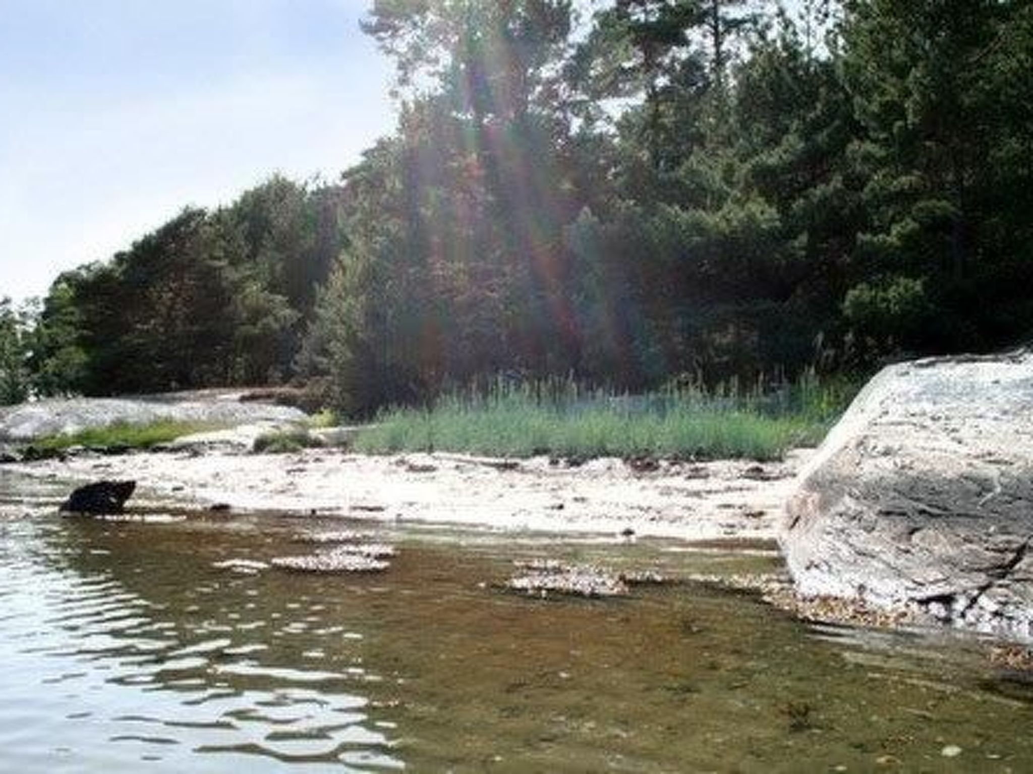 Wunderschönes Cottage "Traum von Wald und Meer"-Binnen
