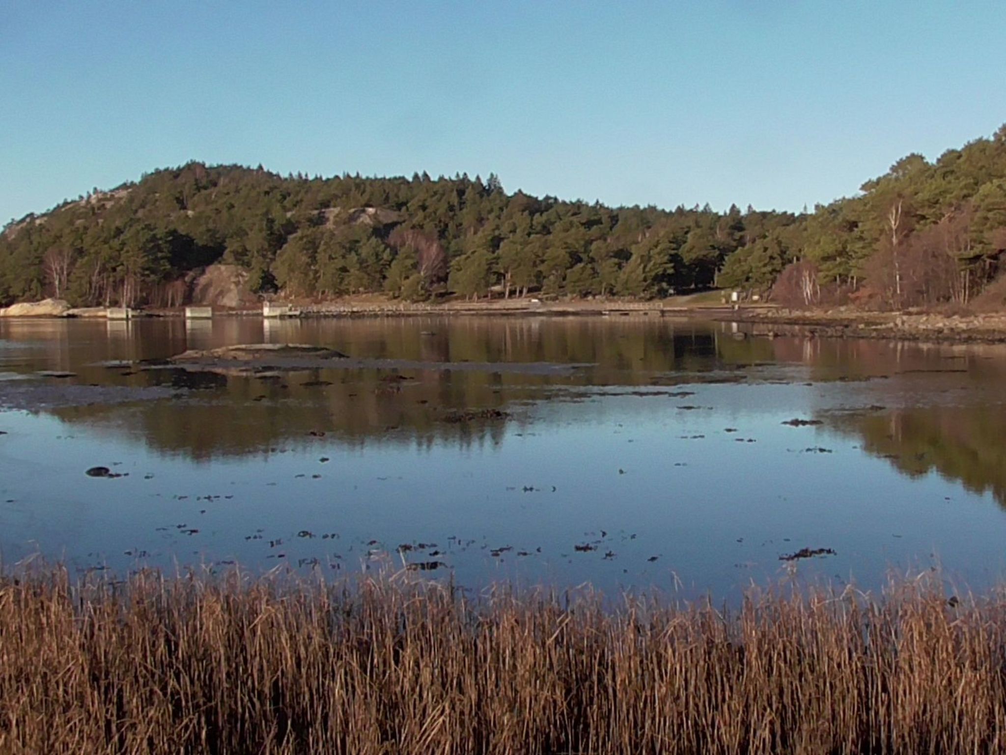 Wunderschönes Cottage "Traum von Wald und Meer"-Binnen