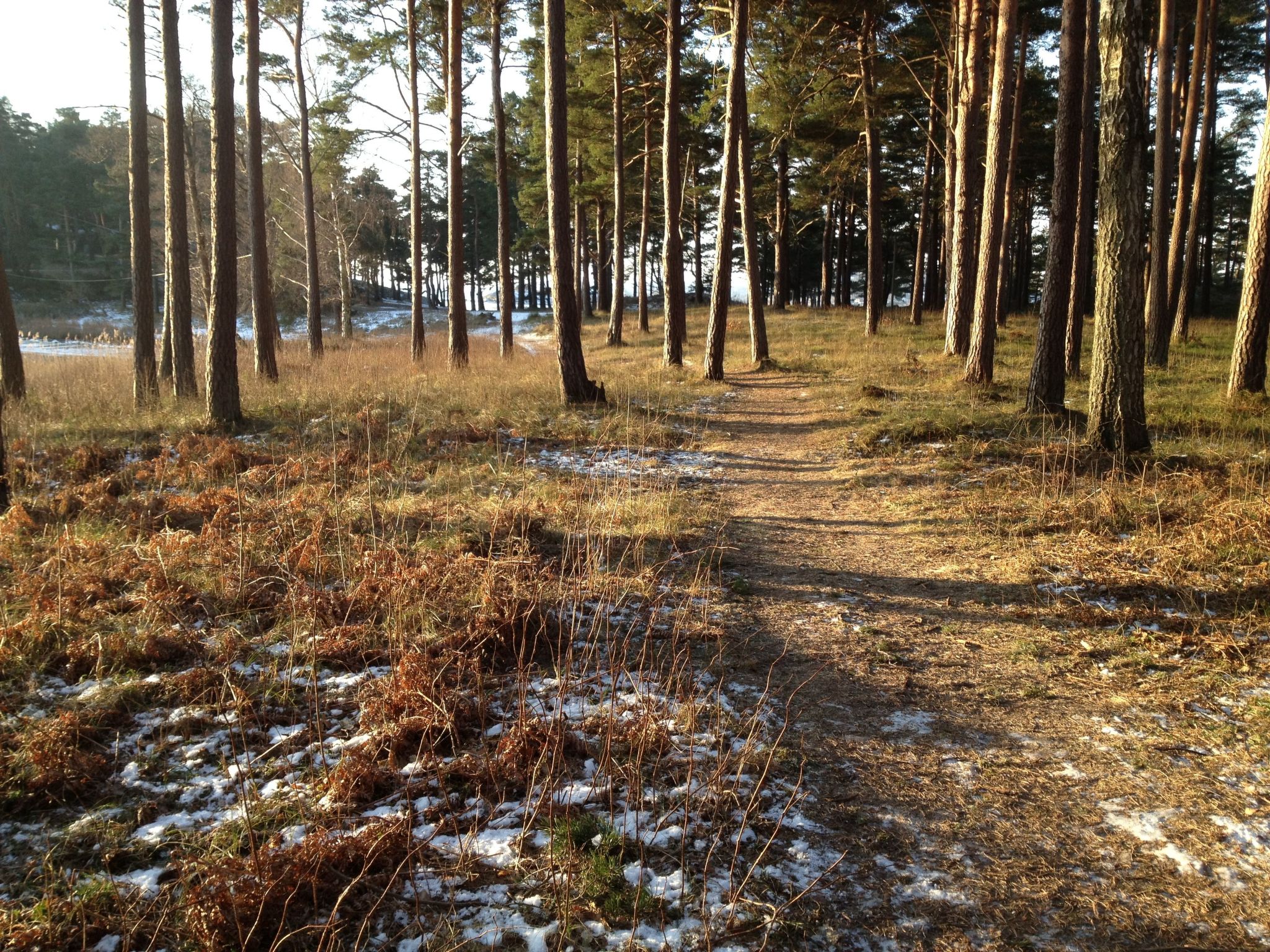 Westküsten-Juwel-Drinnen