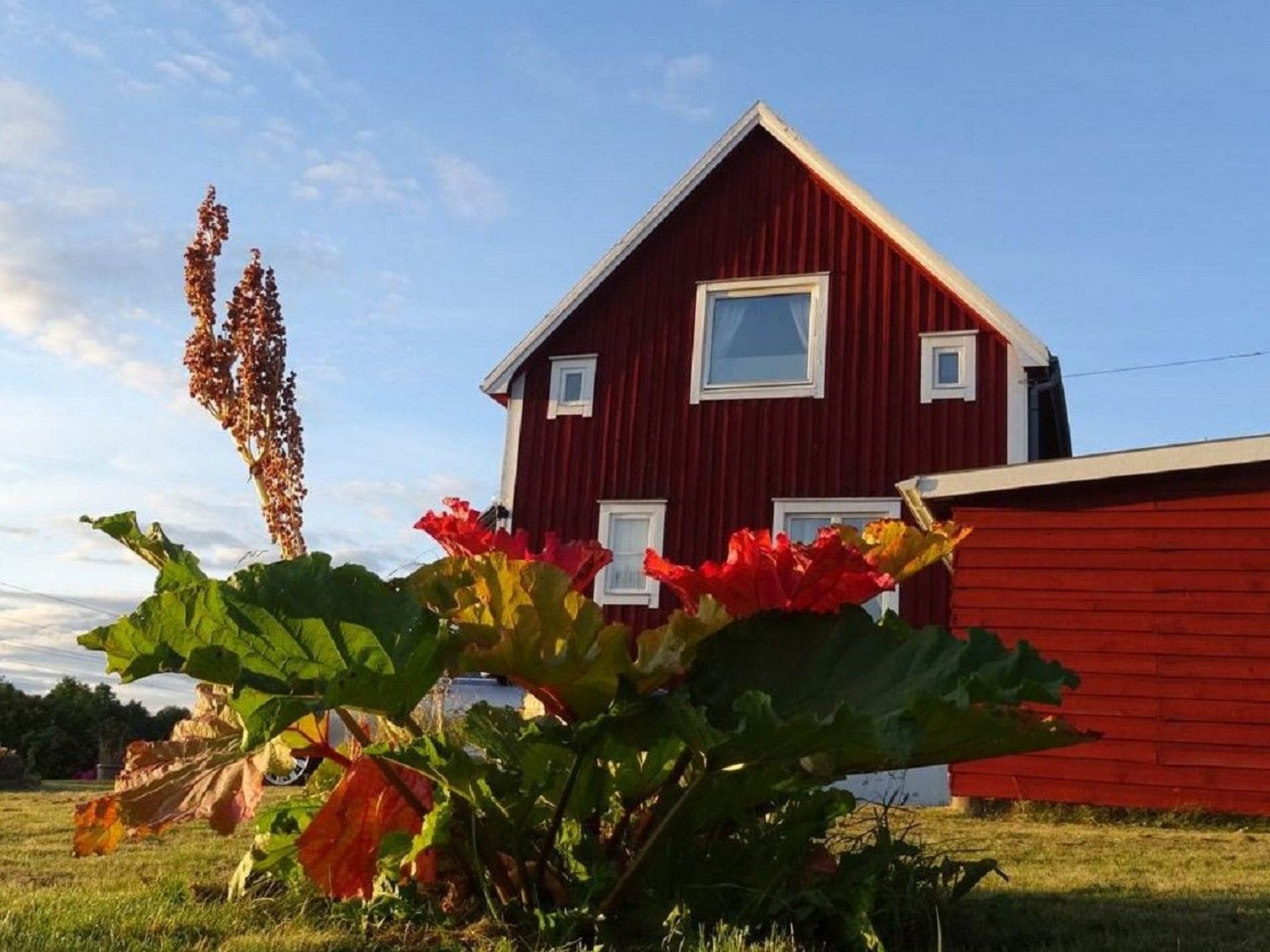 Willkommen im Stable House-Image-tags.info