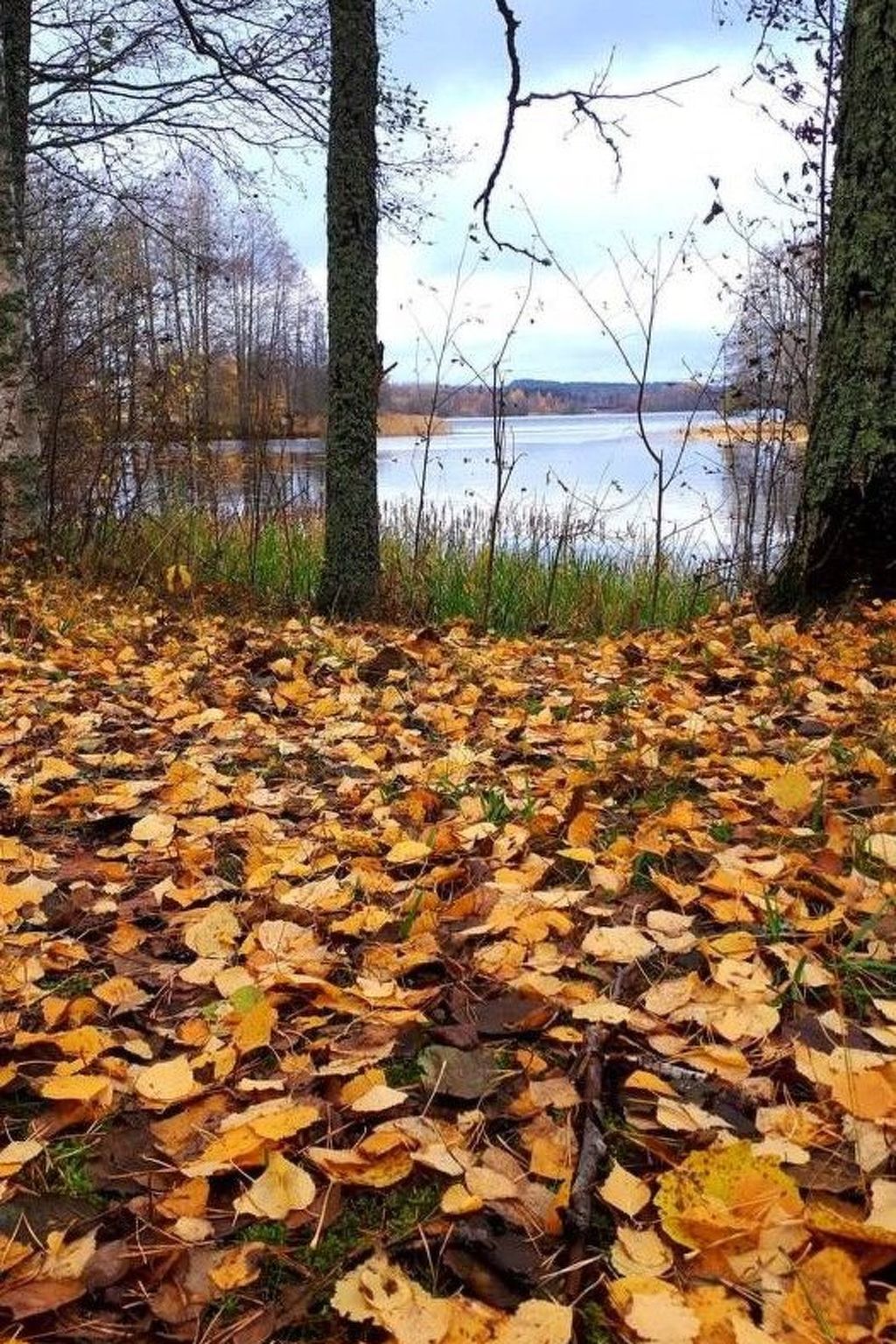 Willkommen im Stable House-Image-tags.info