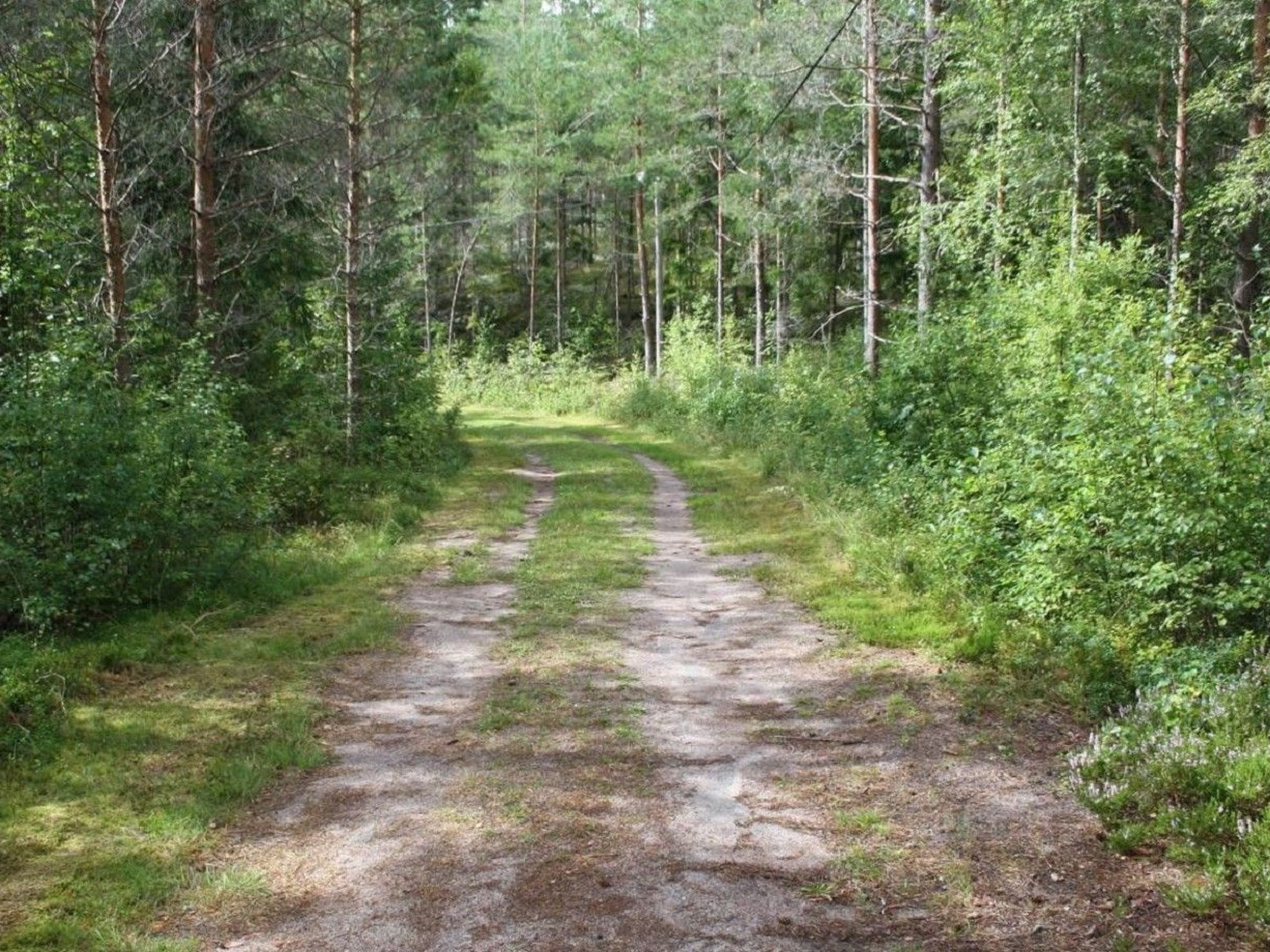 Willkommen im Stable House-Image-tags.info