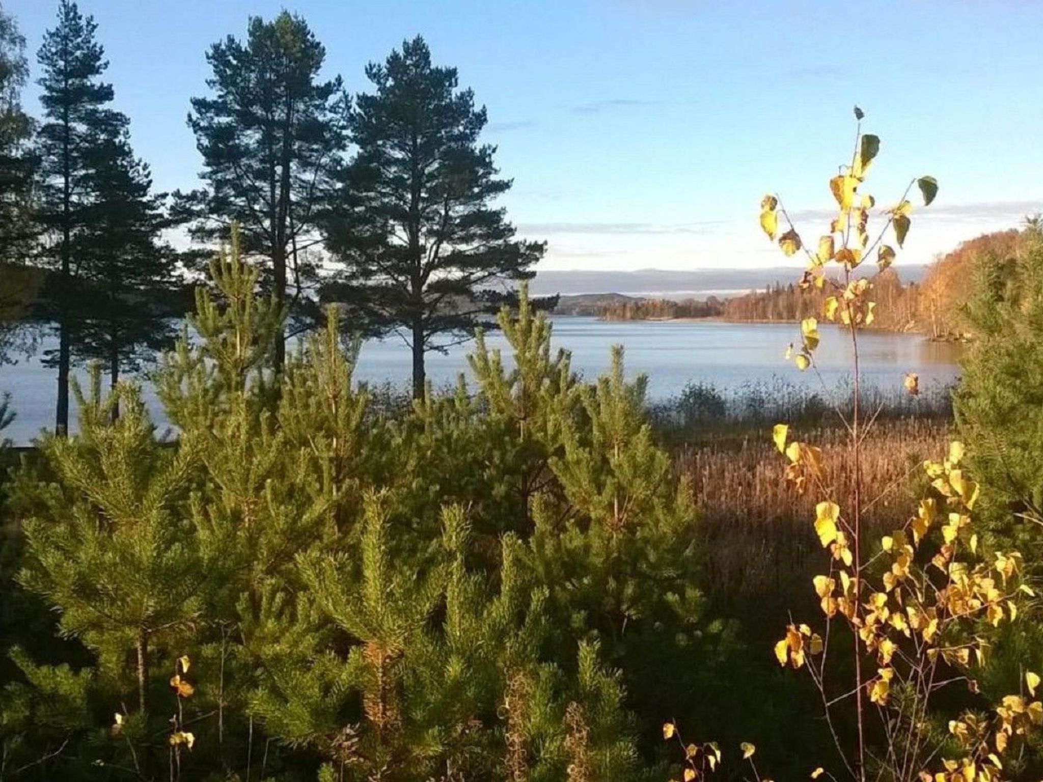 Willkommen im Stable House-Image-tags.info