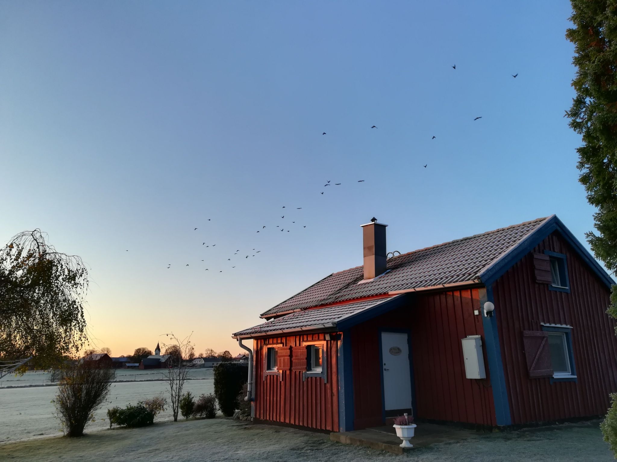 Blombacker-Image-tags.info