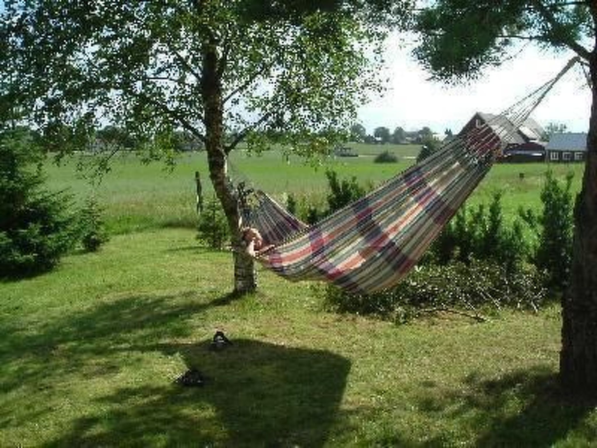 Blombacker-Image-tags.info