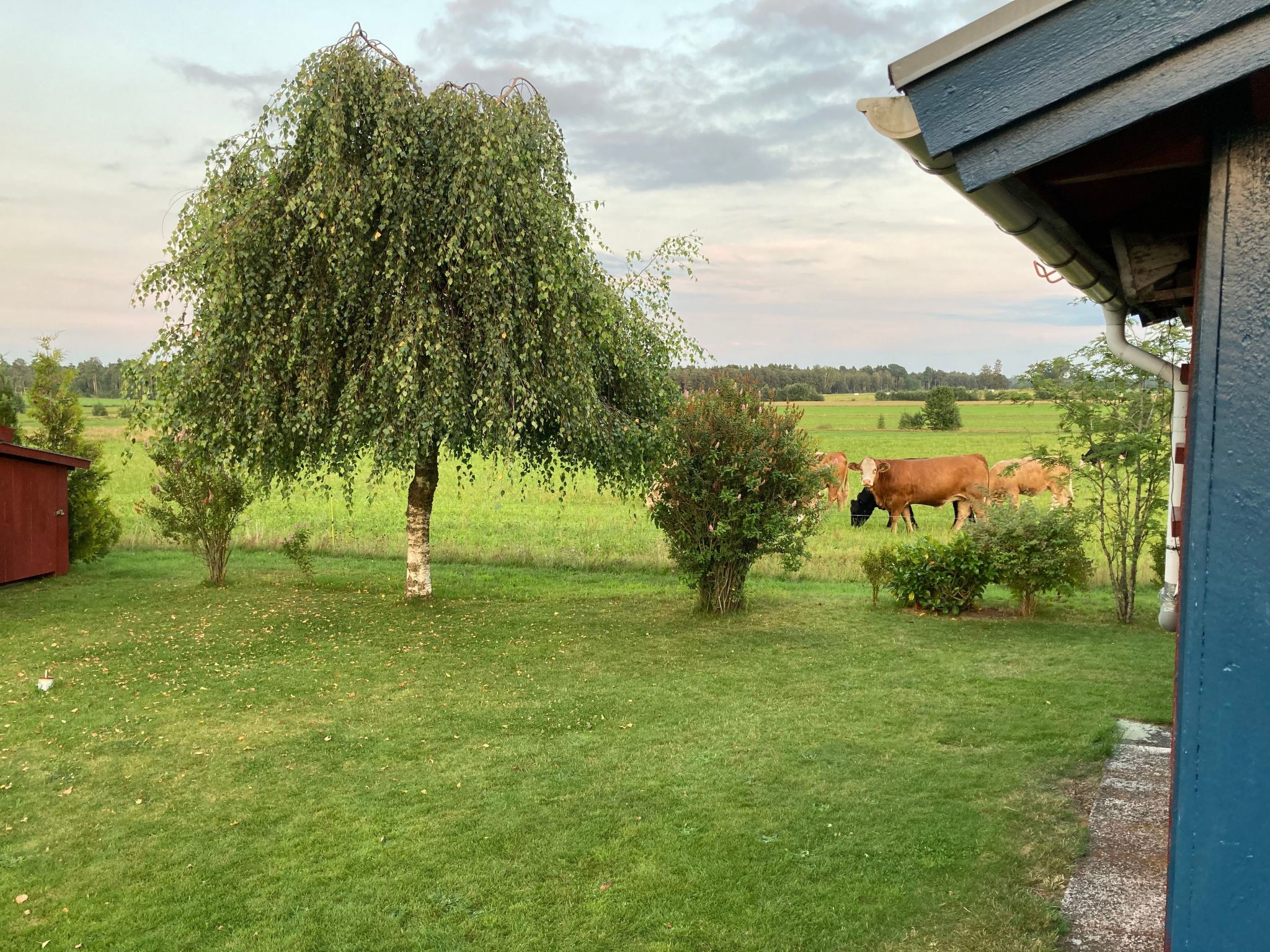 Blombacker-Image-tags.info