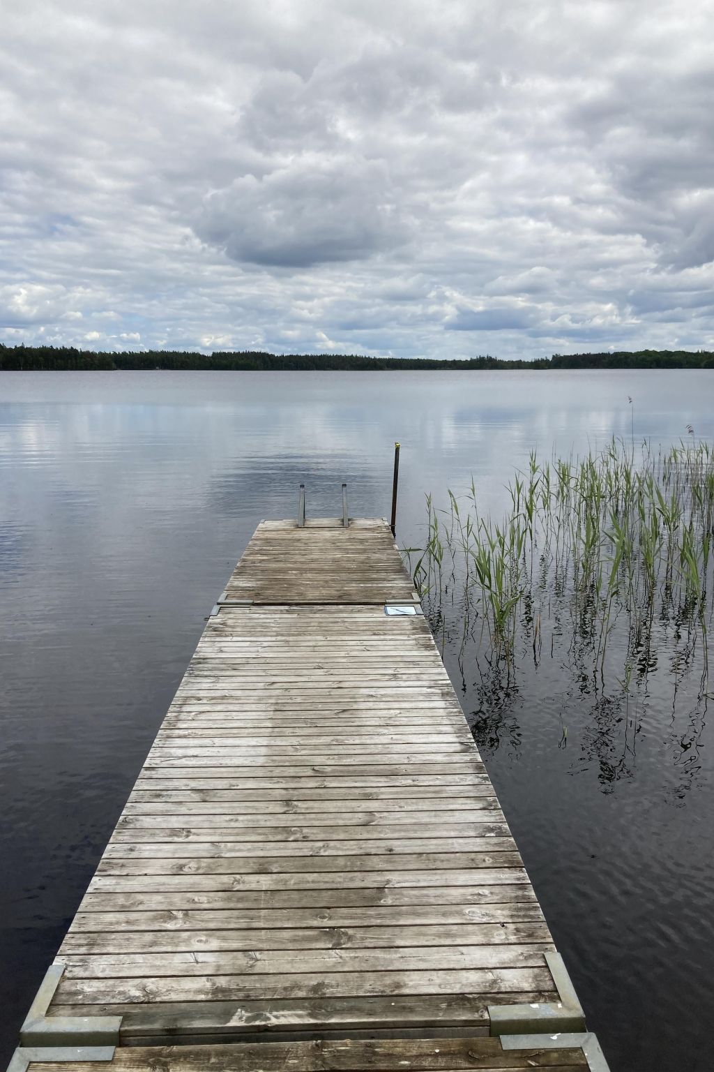 Blombacker-Image-tags.info