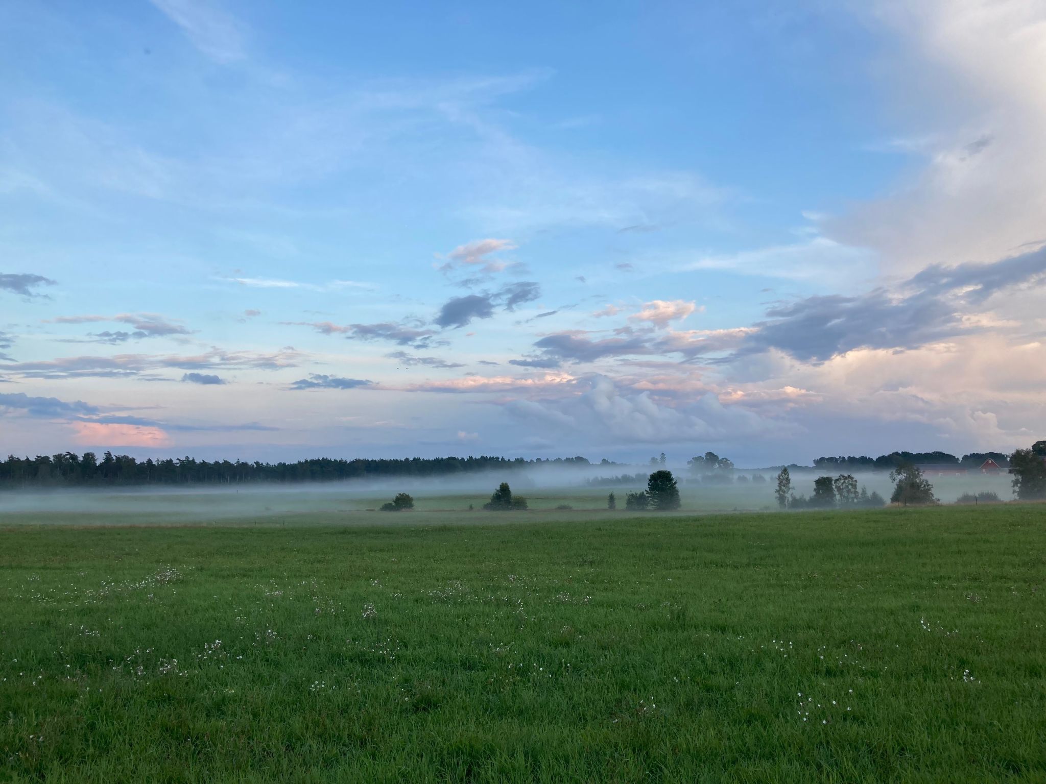 Blombacker-Image-tags.info