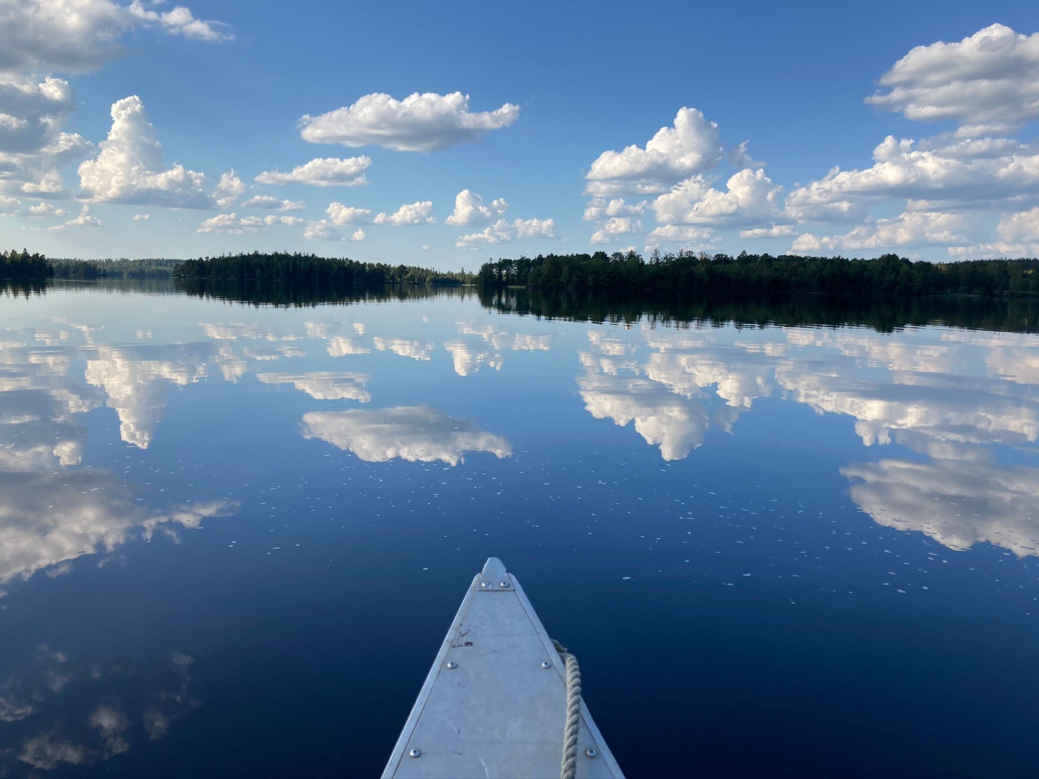 Blombacker-Image-tags.info