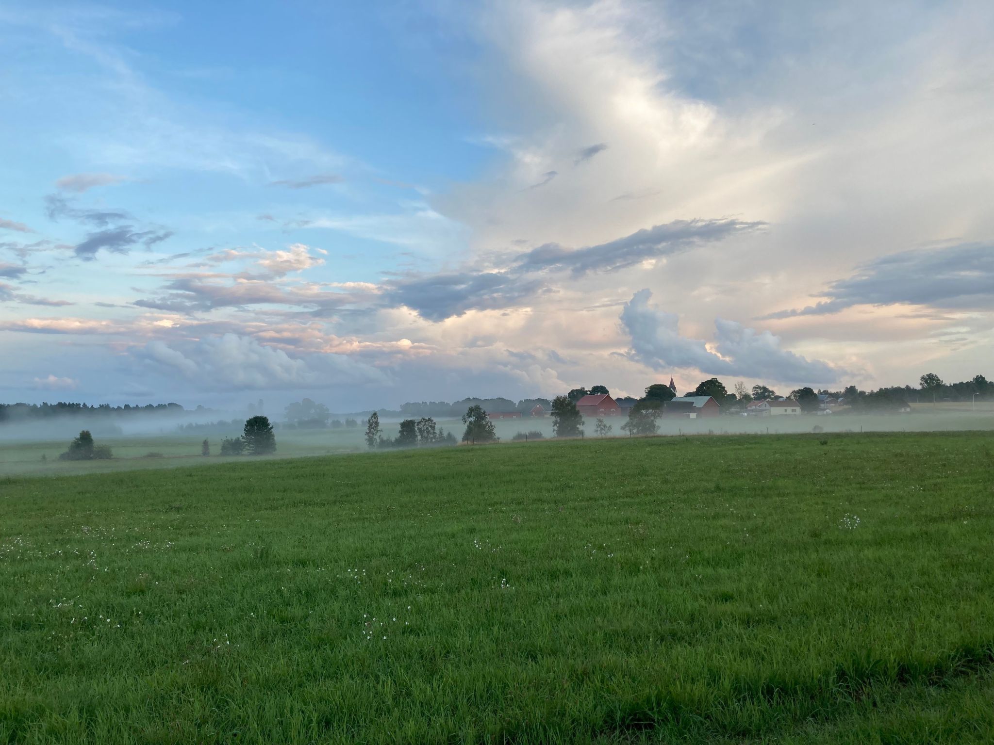 Blombacker-Image-tags.info