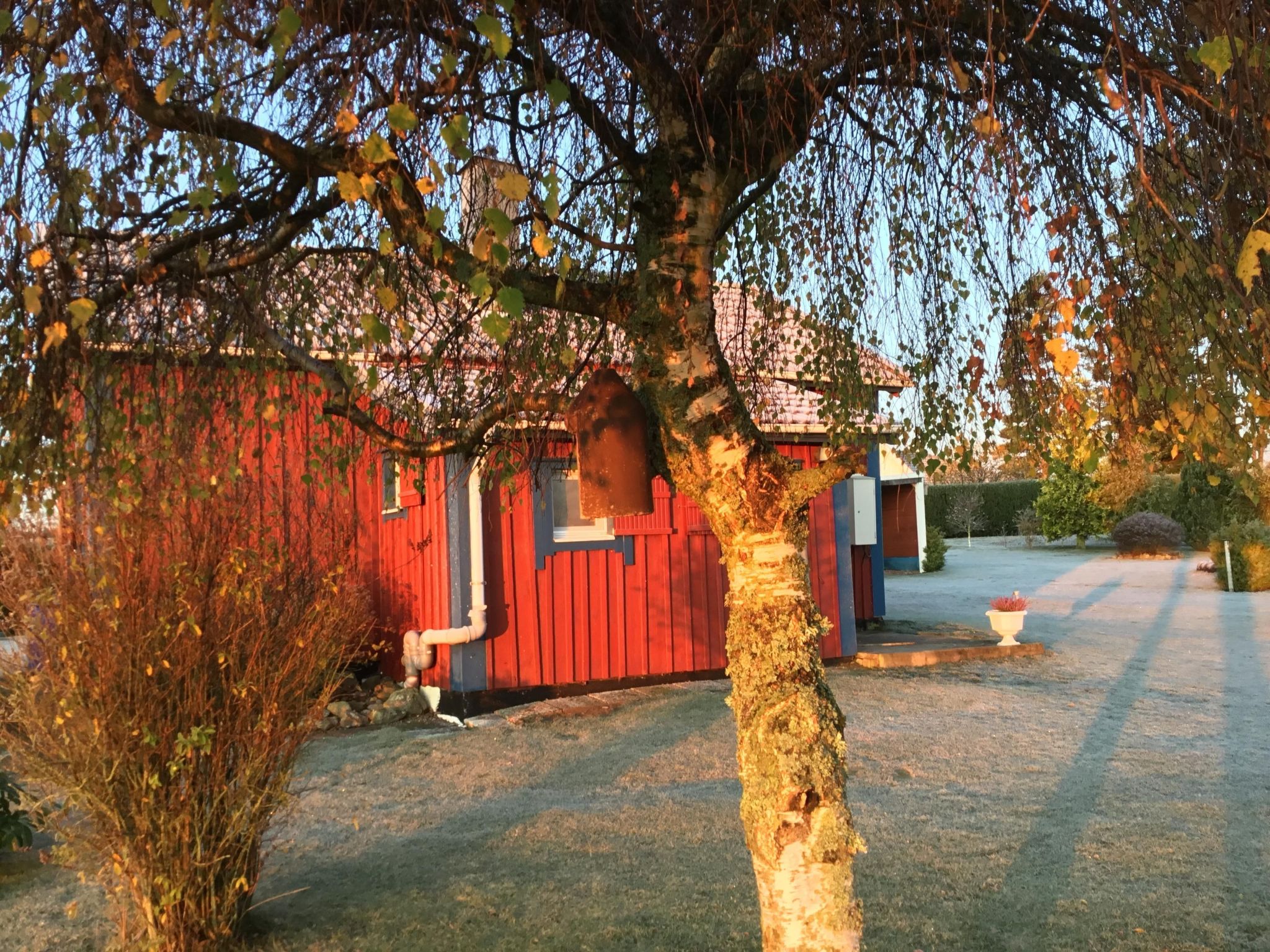 Blombacker-Image-tags.info