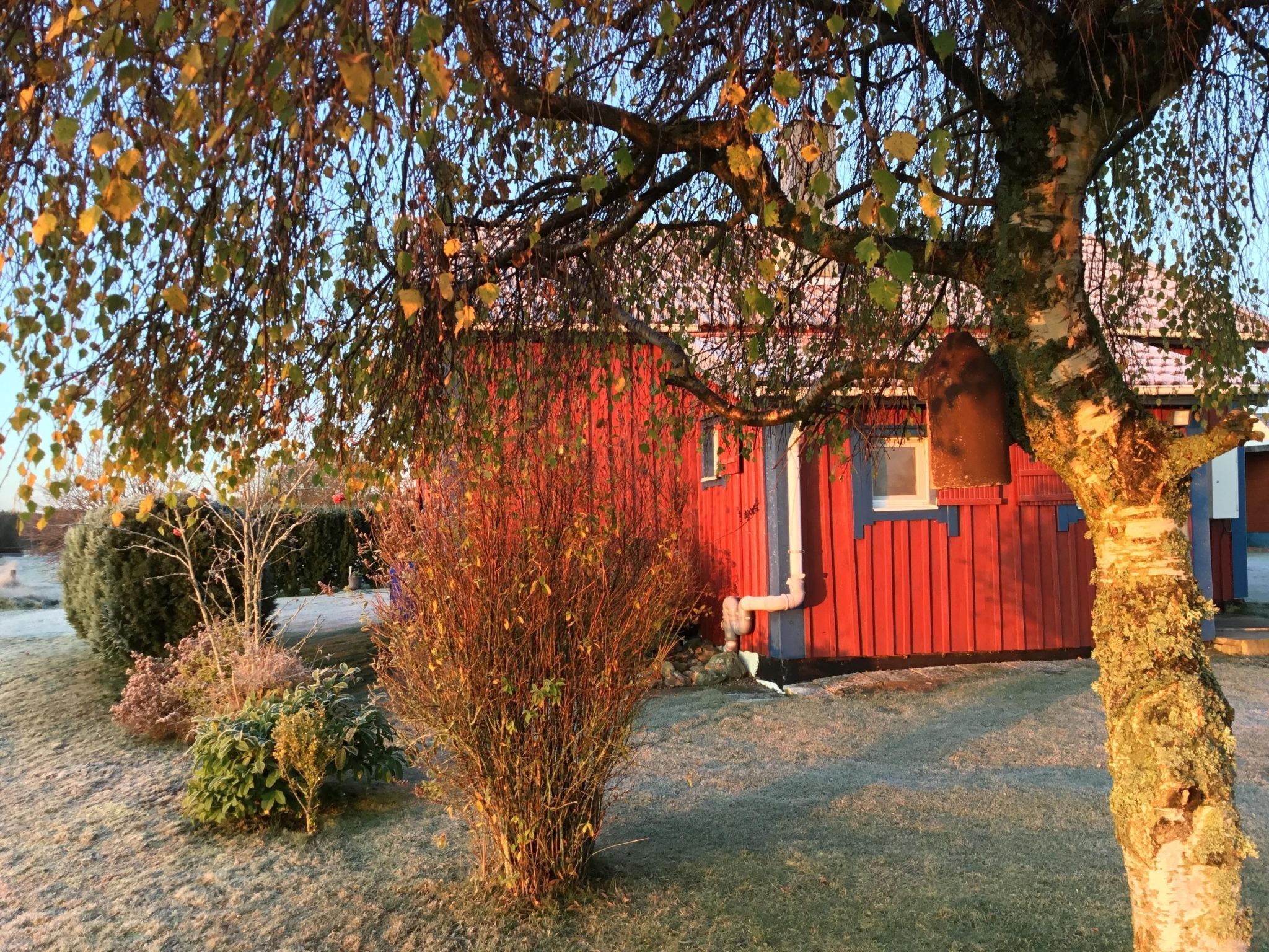 Blombacker-Image-tags.info