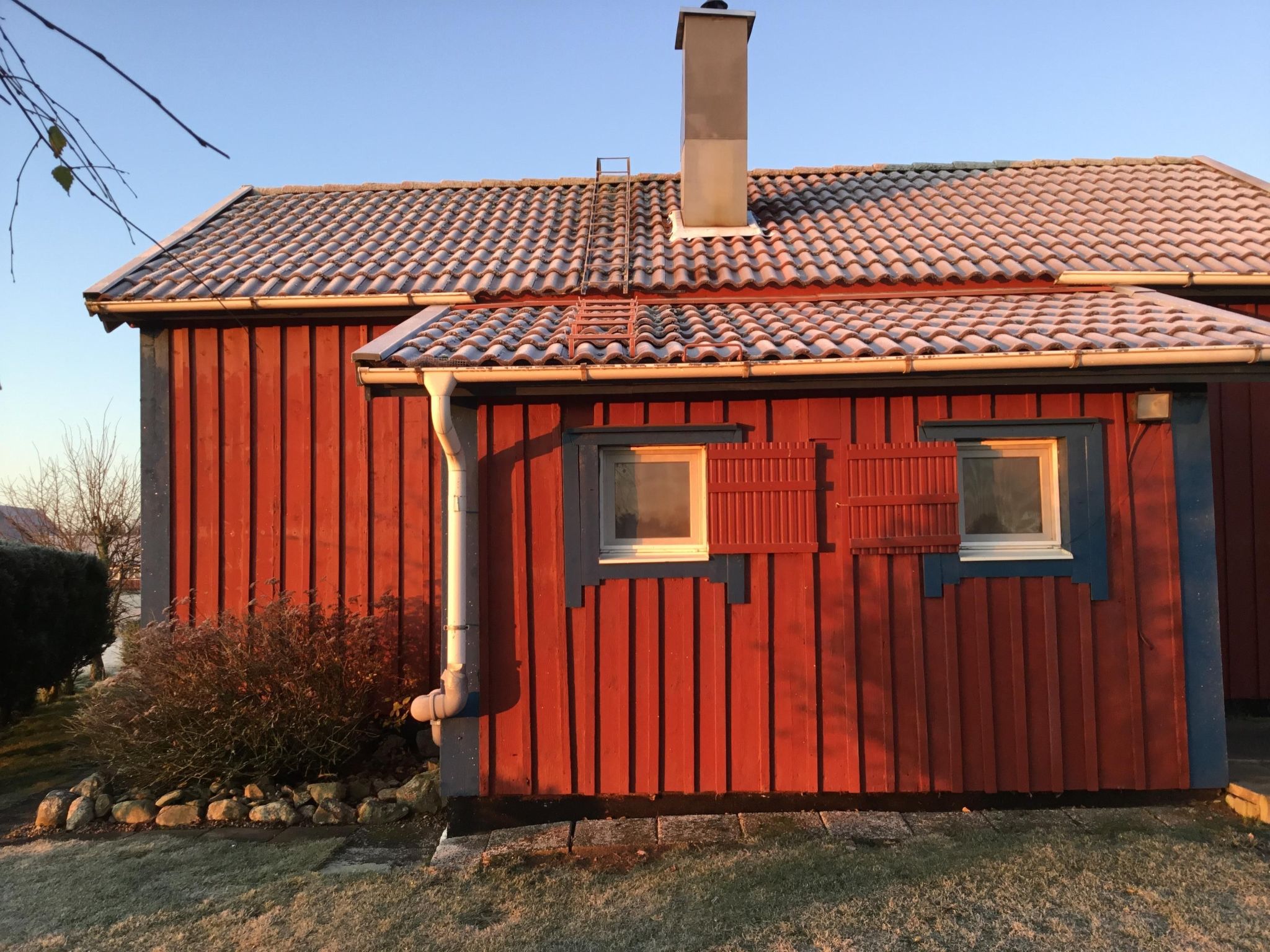 Blombacker-Image-tags.info