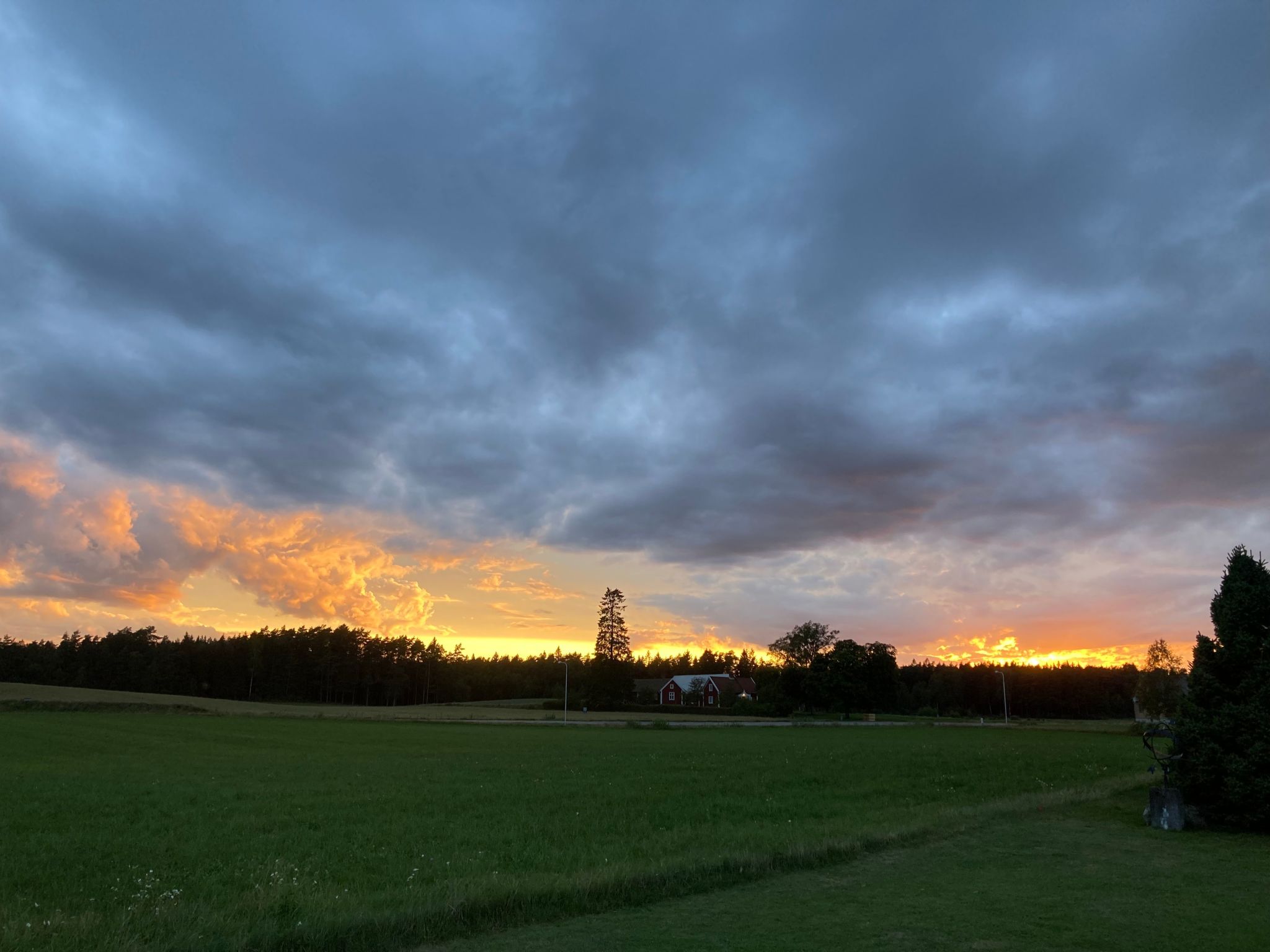 Blombacker-Image-tags.info