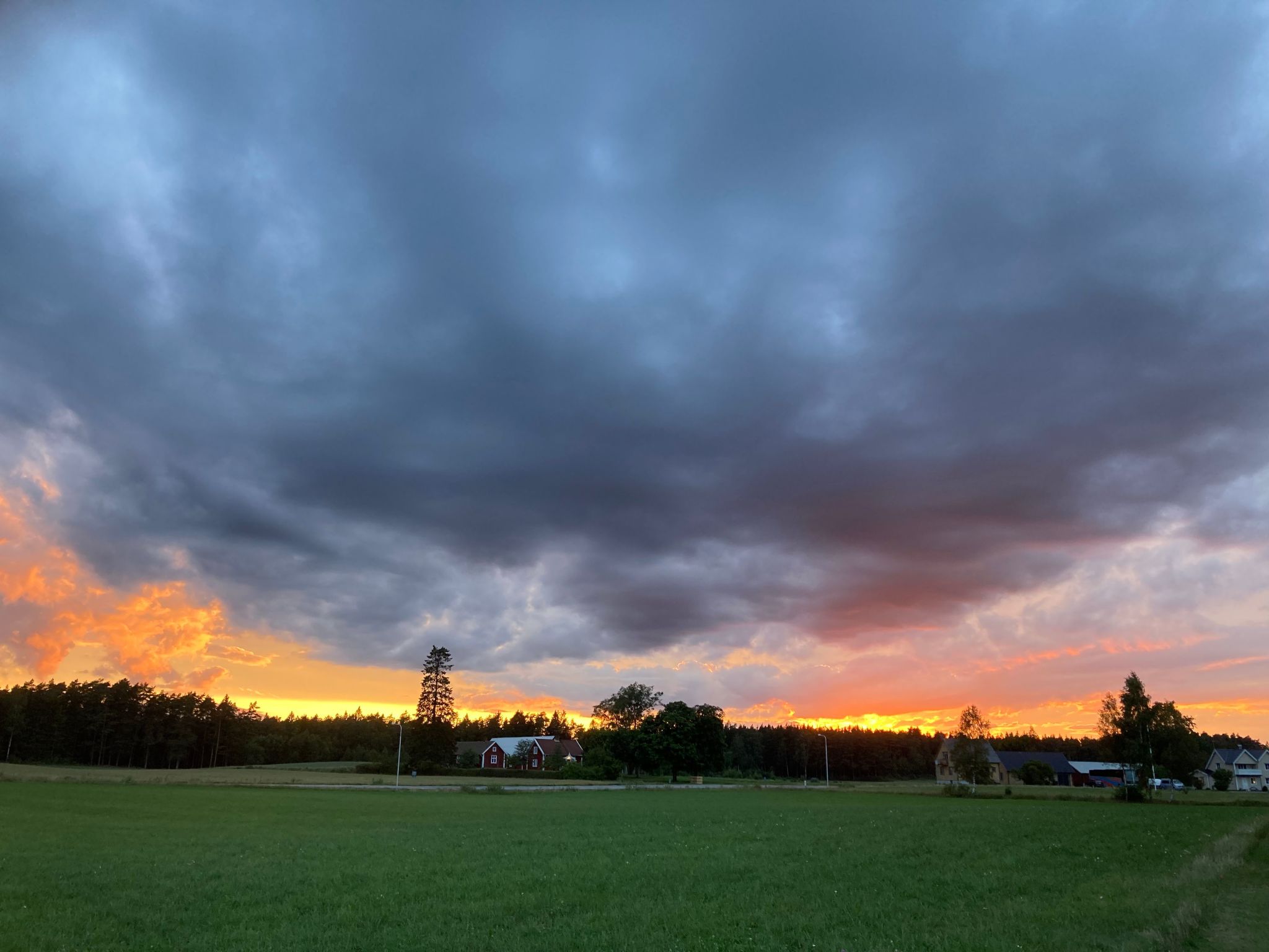 Blombacker-Image-tags.info