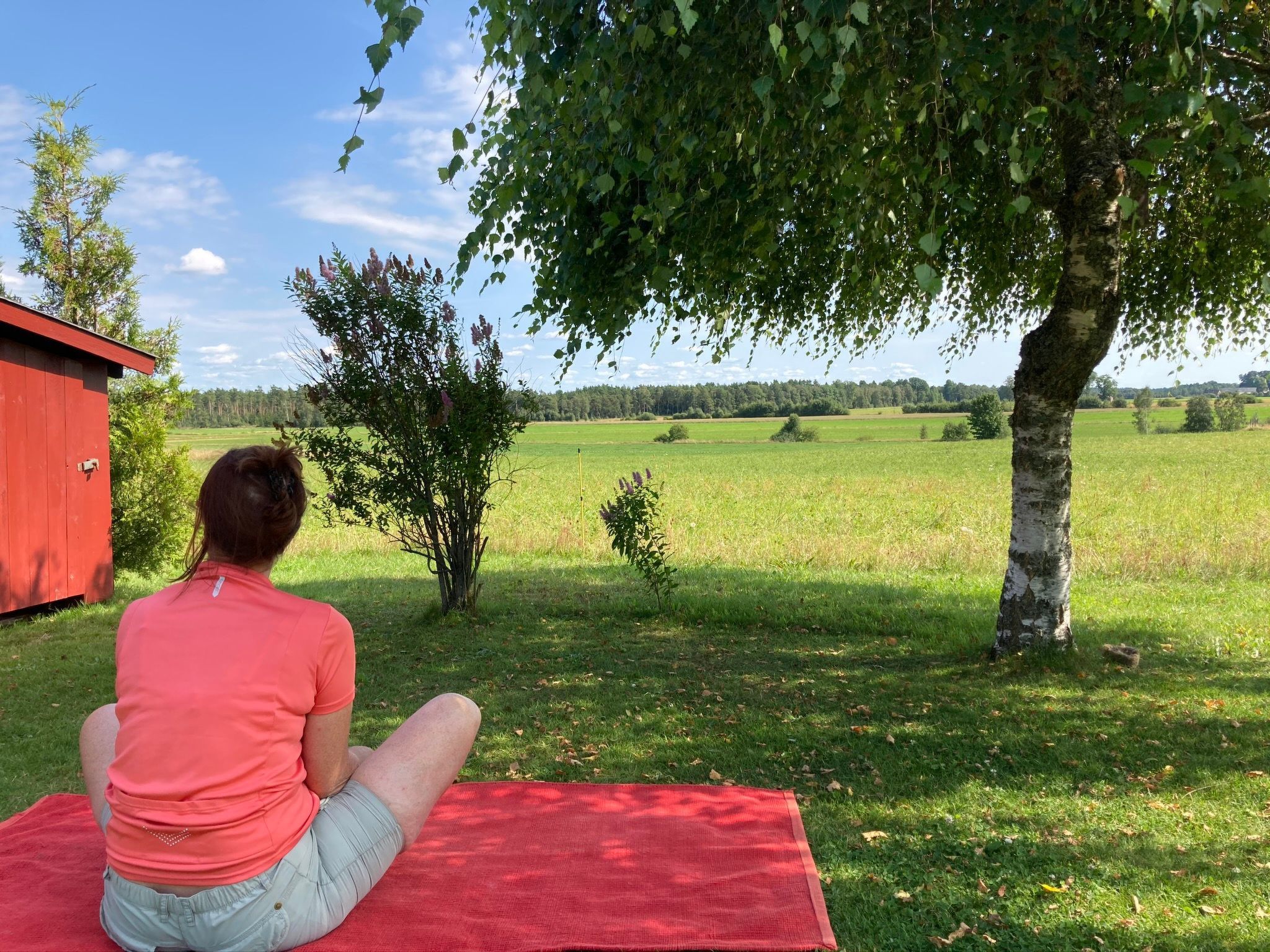 Blombacker-Image-tags.info