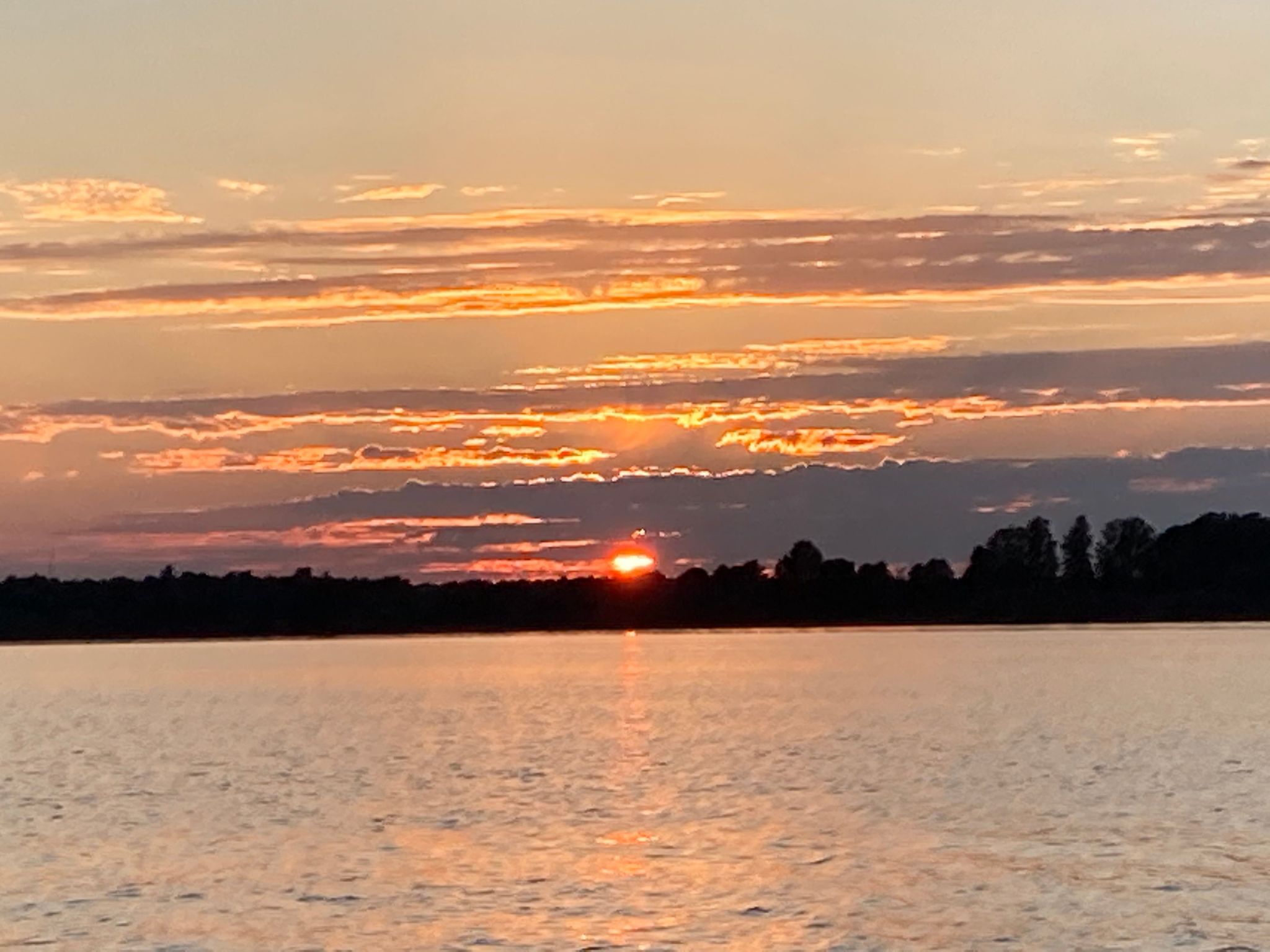 Blombacker-Image-tags.info