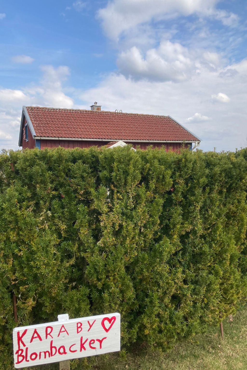 Blombacker-Image-tags.info