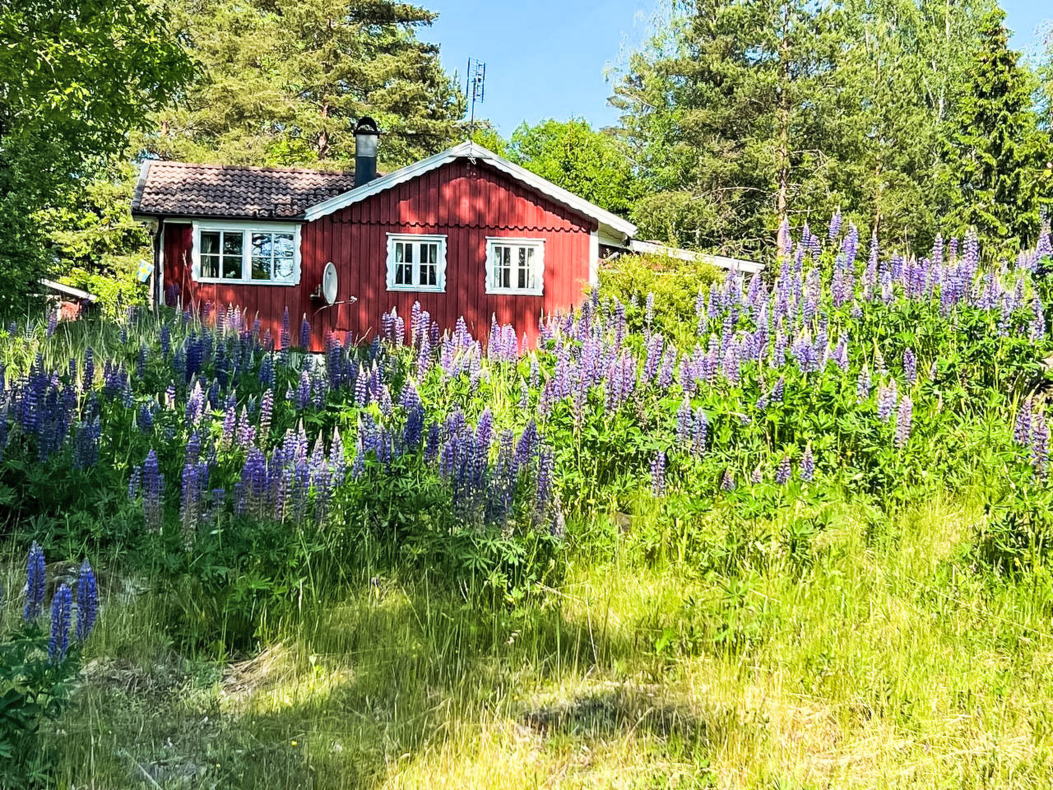 Idyllisch gelegenes, ebenerdiges Haus mit Terrasse - Buiten