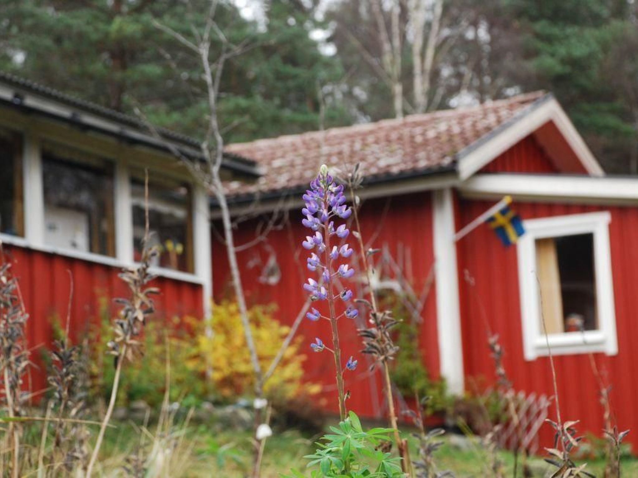 Idyllisch gelegenes, ebenerdiges Haus mit Terrasse-Binnen