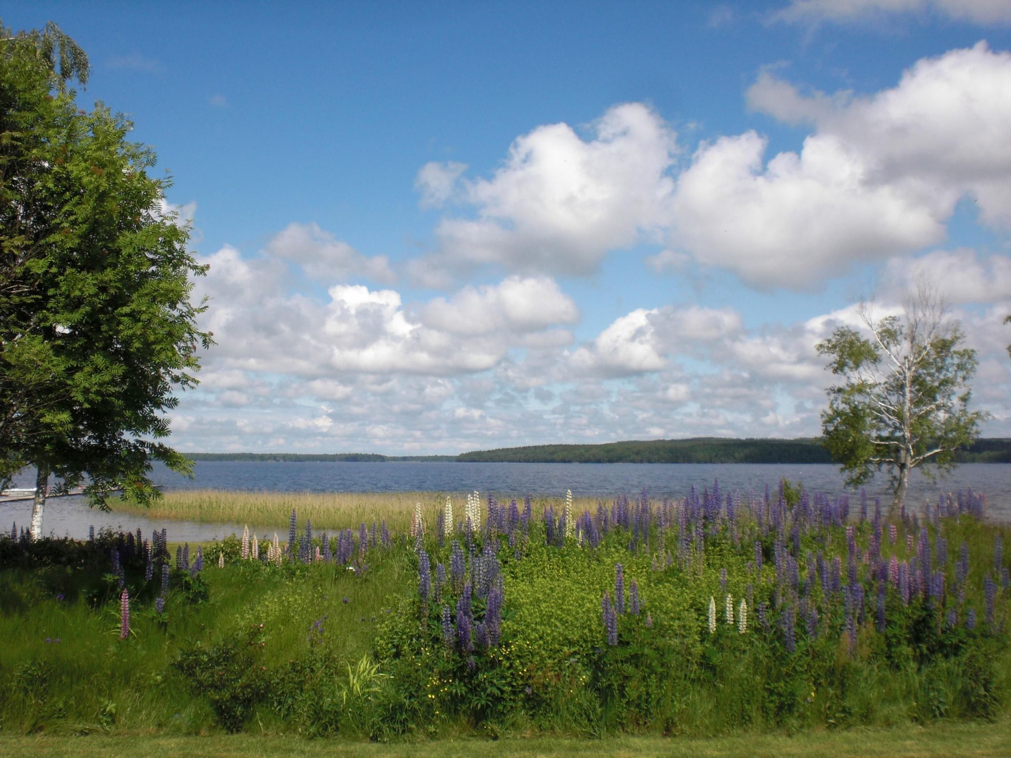 In Tibro mit Kleinem Garten-Binnen