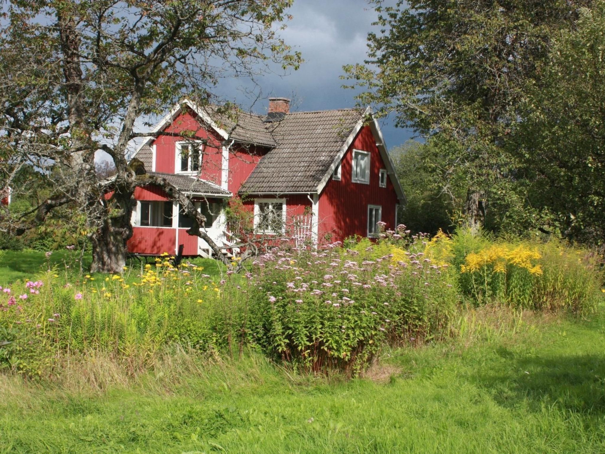 Schönes Ferienhaus in Småland mit Sauna, Bootssteg zum Schwimmen mit Ruderboot