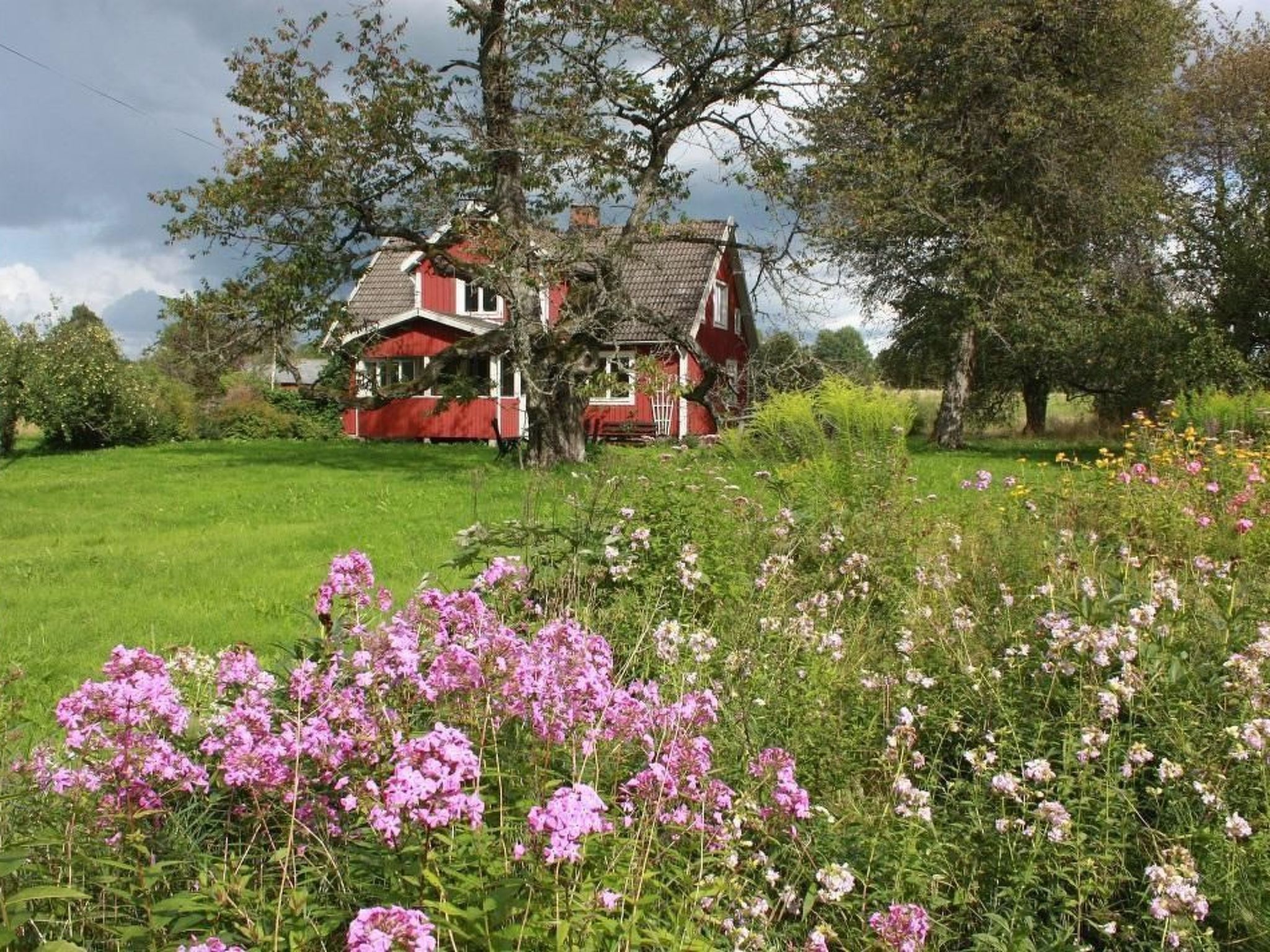 Schönes Ferienhaus in Småland mit Sauna, Bootssteg zum Schwimmen mit Ruderboot - Draußen