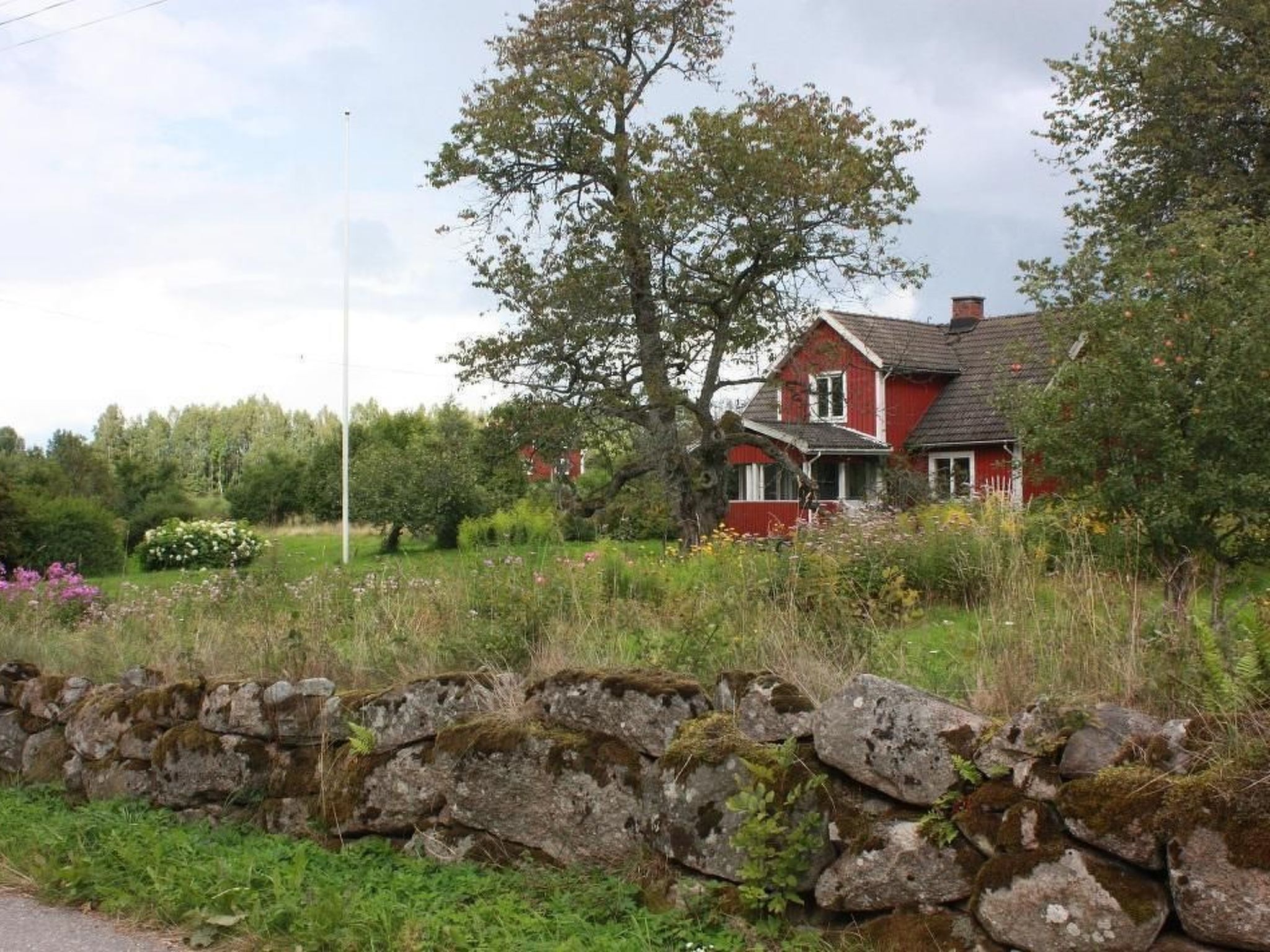 Schönes Ferienhaus in Småland mit Sauna, Bootssteg zum Schwimmen mit Ruderboot - Draußen