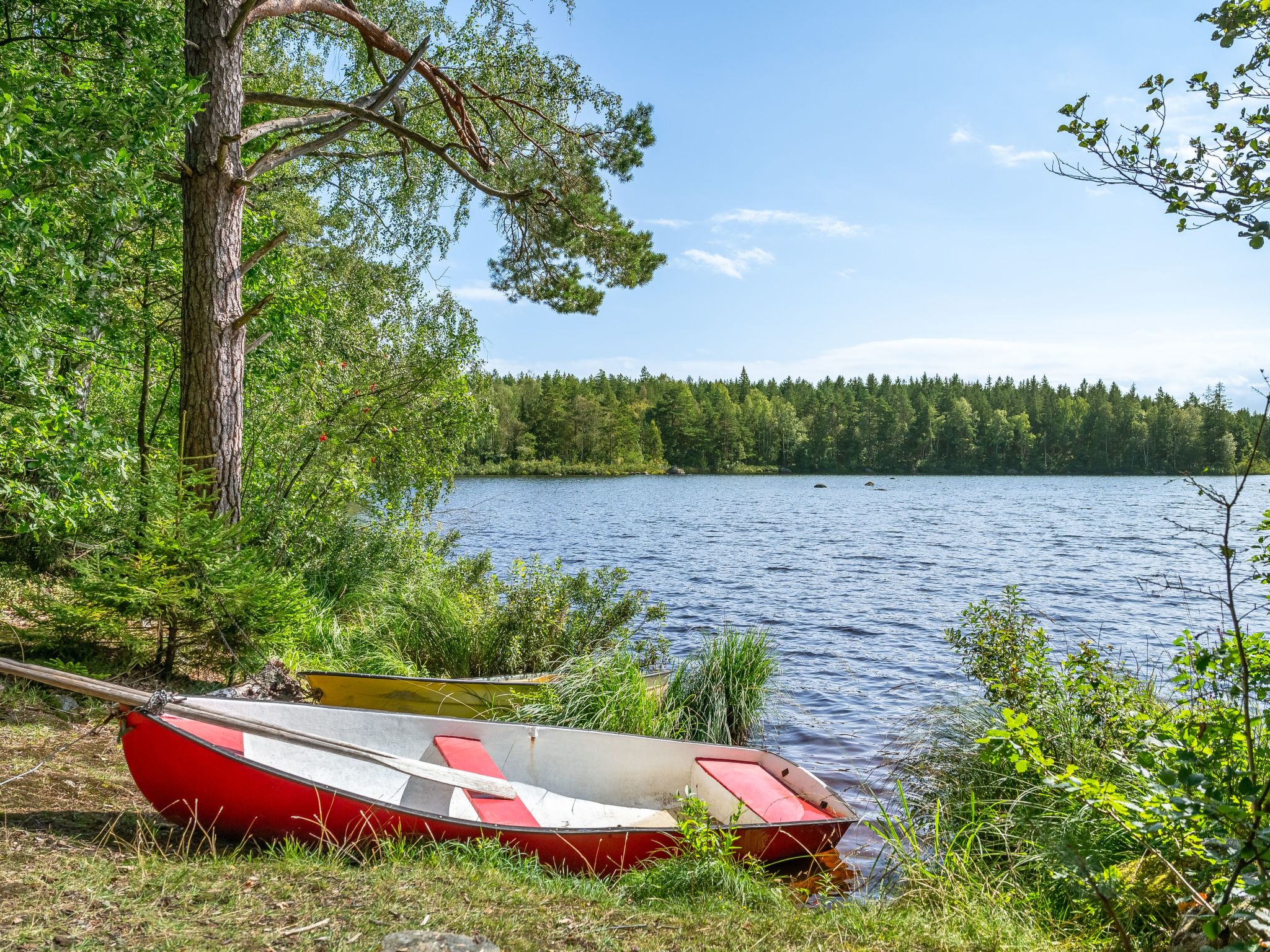 Stenfors-Buiten