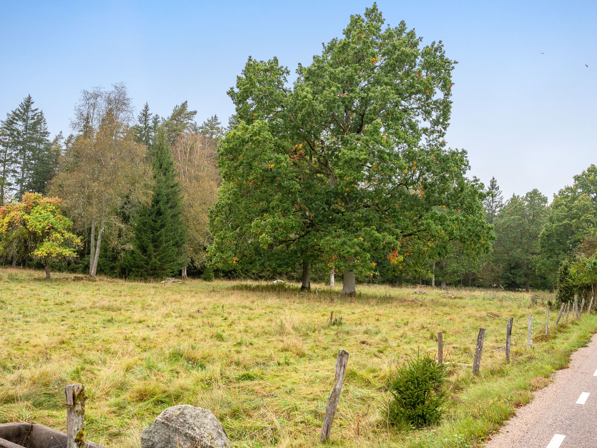 Maison Källehult – Vue, photo 38 sur 39