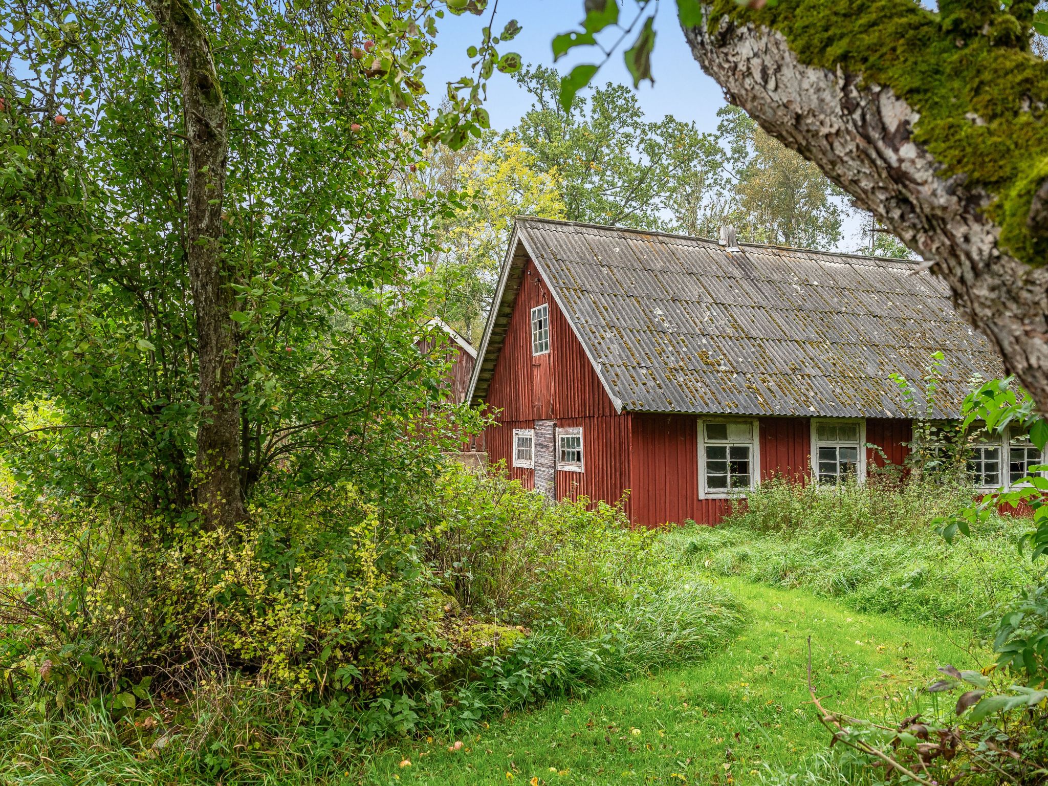 Maison Källehult – Extérieur de la maison, photo 36 sur 39