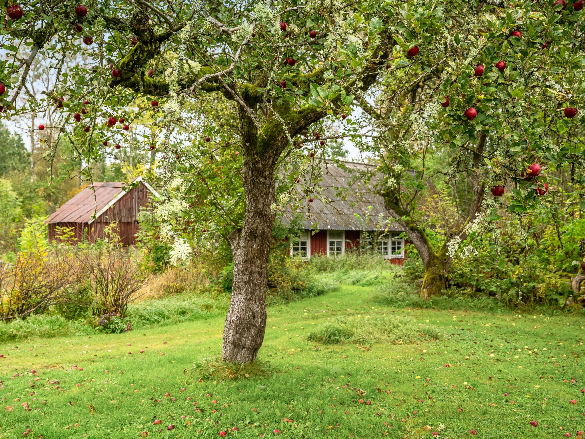 Källehult-Buiten