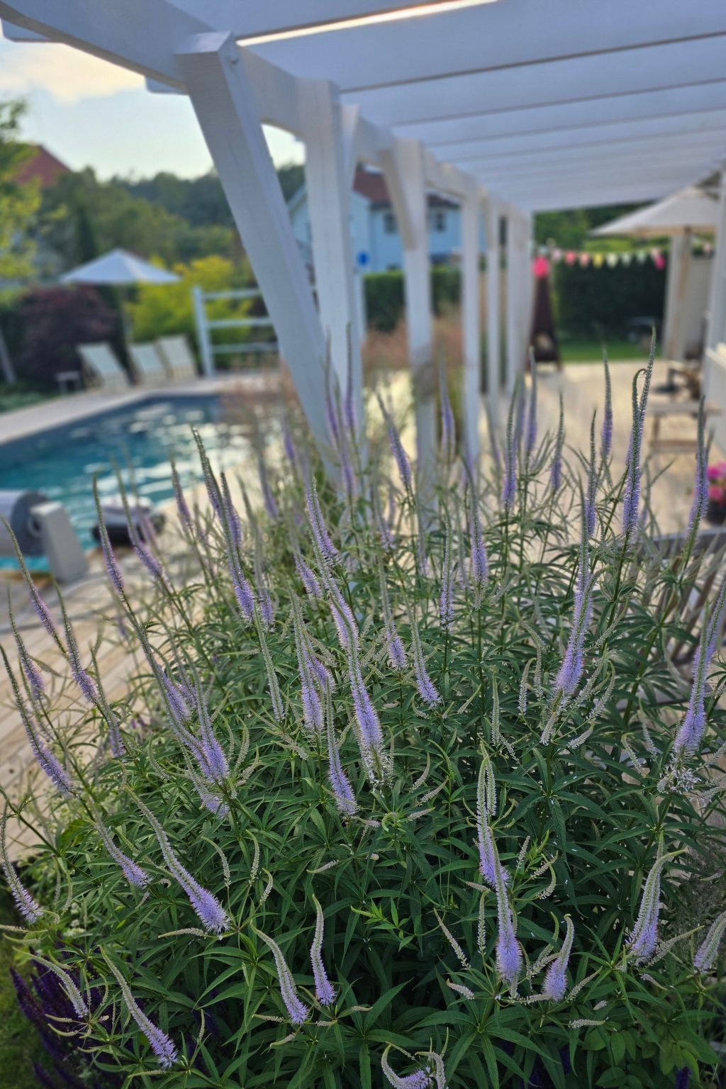 Villa Kungsstrand in Trosa-Binnen