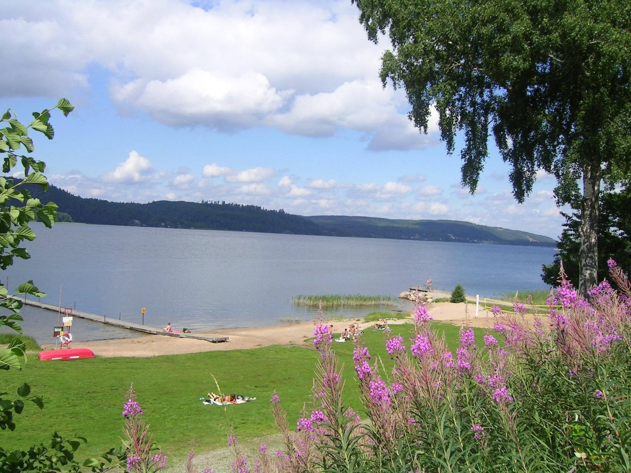 Rosenapartment-Binnen