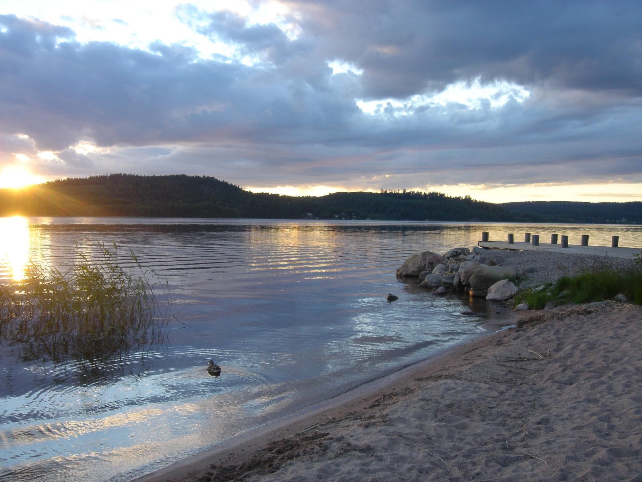 Rosenapartment-Binnen