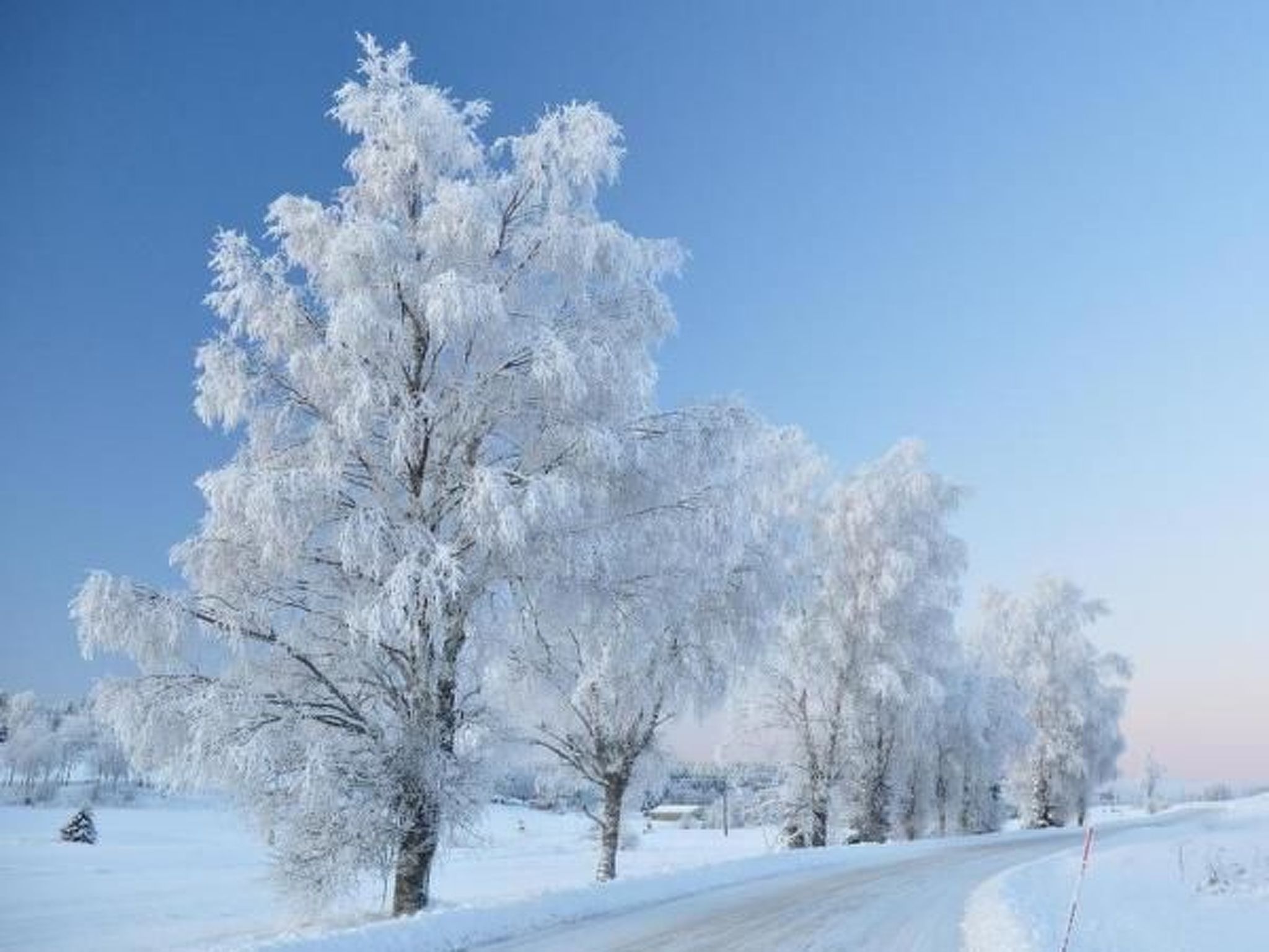 Gepflegtes Ferienhaus mit eigenem Saunahaus-Image-tags.info