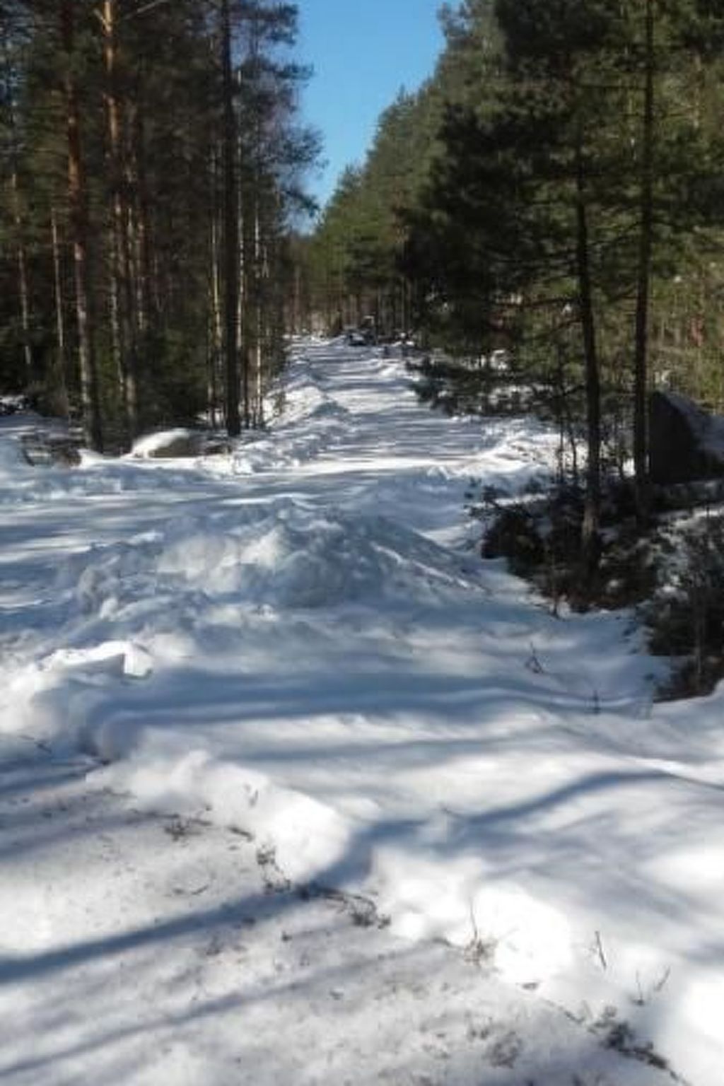 Gepflegtes Ferienhaus mit eigenem Saunahaus-Image-tags.info