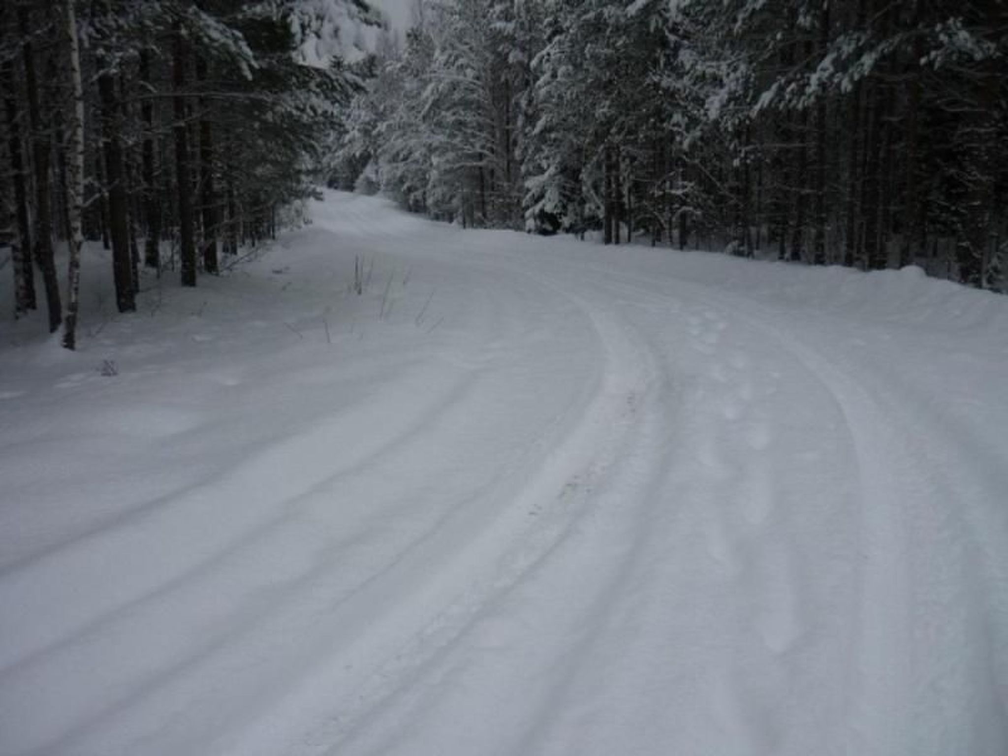 Gepflegtes Ferienhaus mit eigenem Saunahaus-Image-tags.info