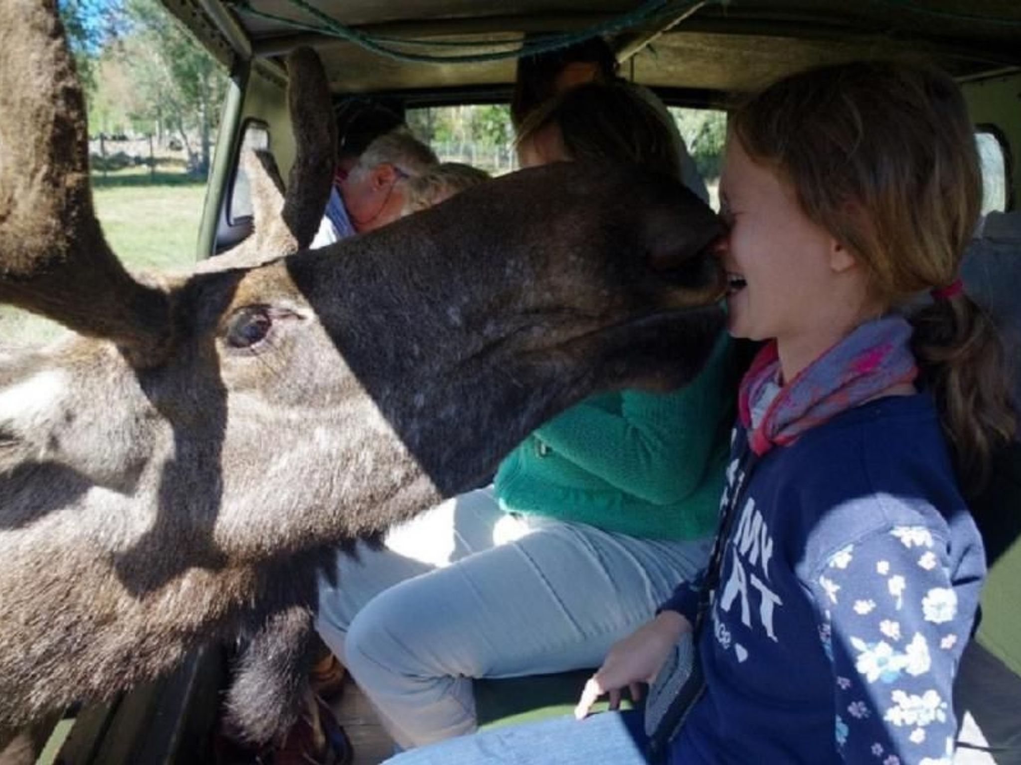 Gepflegtes Ferienhaus mit eigenem Saunahaus-Image-tags.info