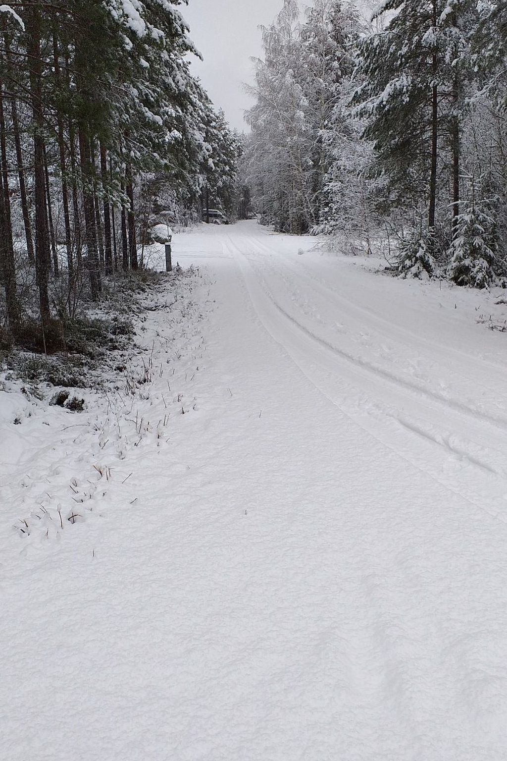 Gepflegtes Ferienhaus mit eigenem Saunahaus-Image-tags.info