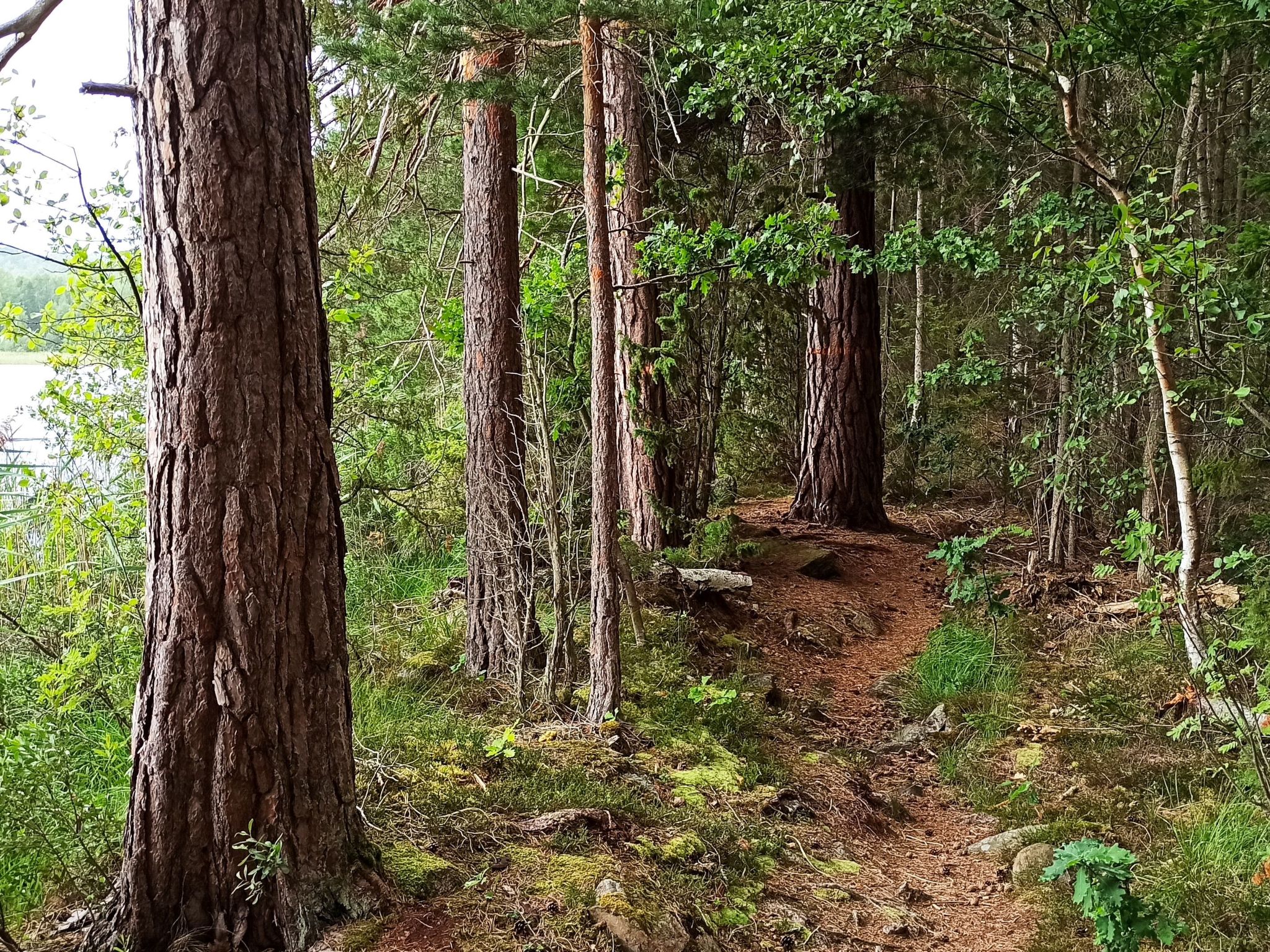 Haus zum Wohlfühlen