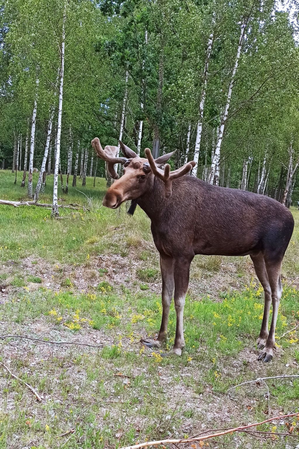 Haus zum Wohlfühlen-Drinnen