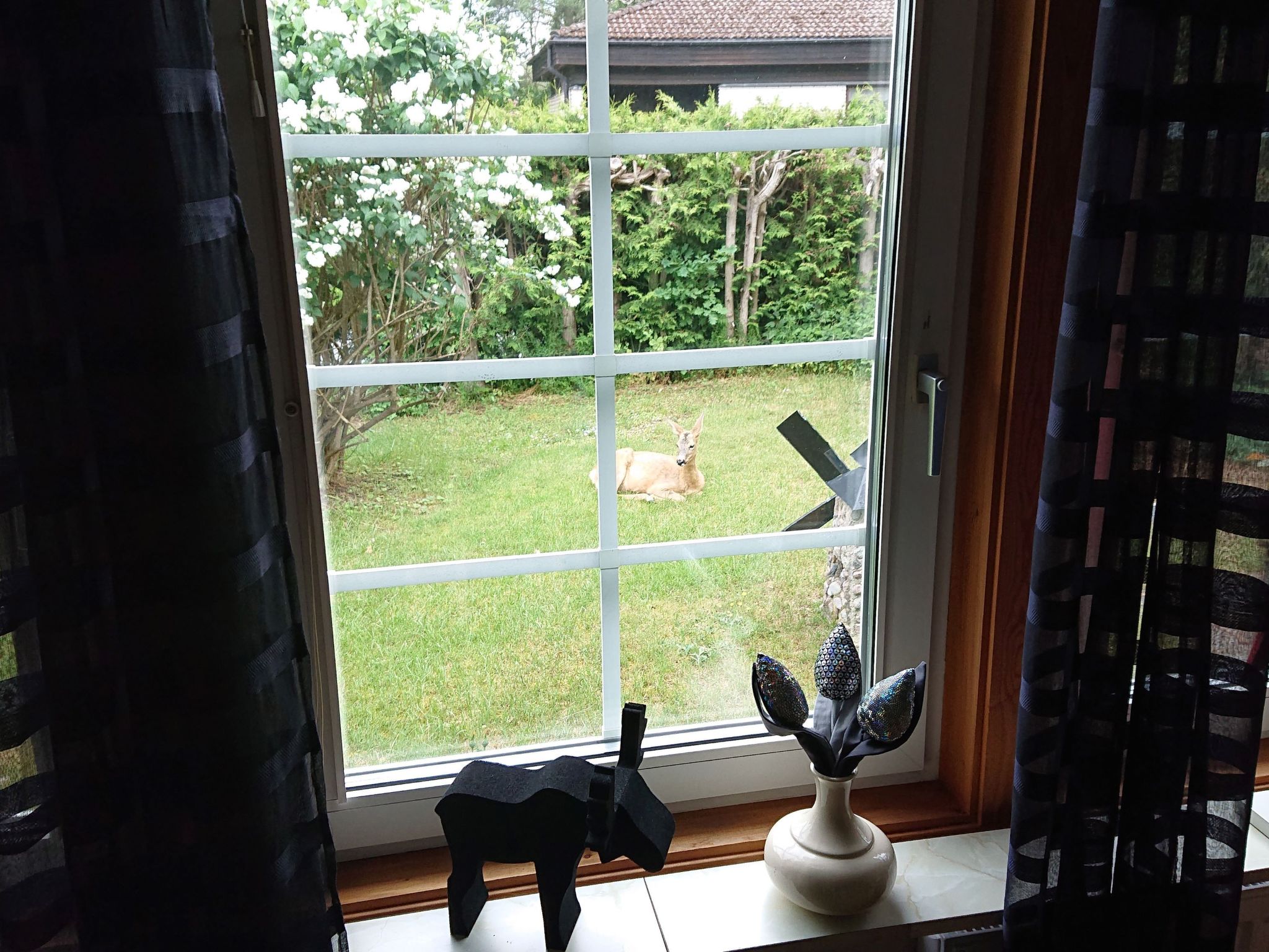 Familienfreundliches Ferienhaus mit großem Garten