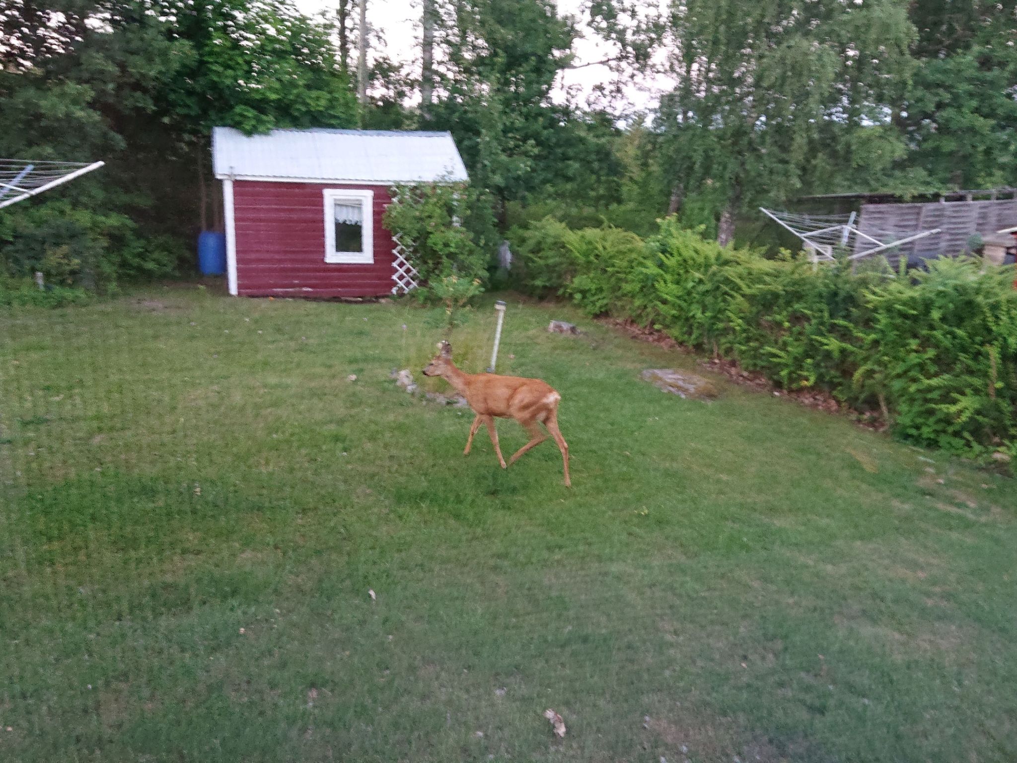 Familienfreundliches Ferienhaus mit großem Garten-Drinnen