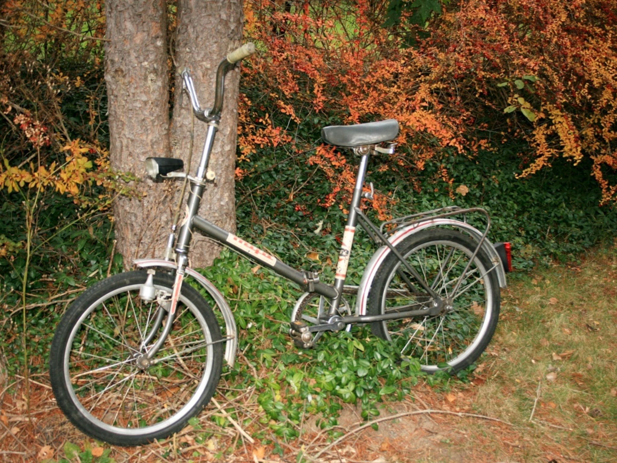 Familienfreundliches Ferienhaus mit großem Garten-Drinnen