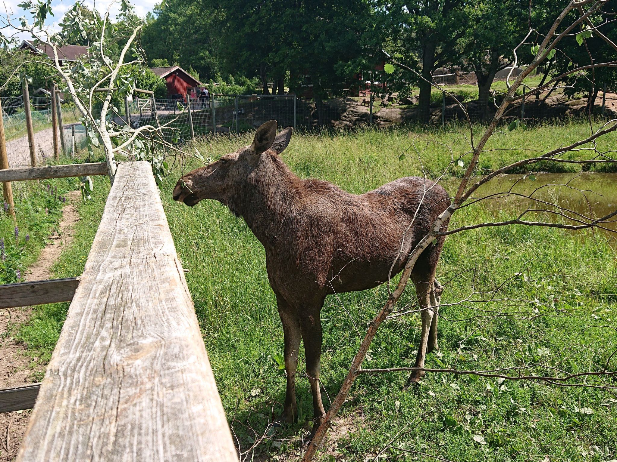Familienfreundliches Ferienhaus mit großem Garten-Drinnen