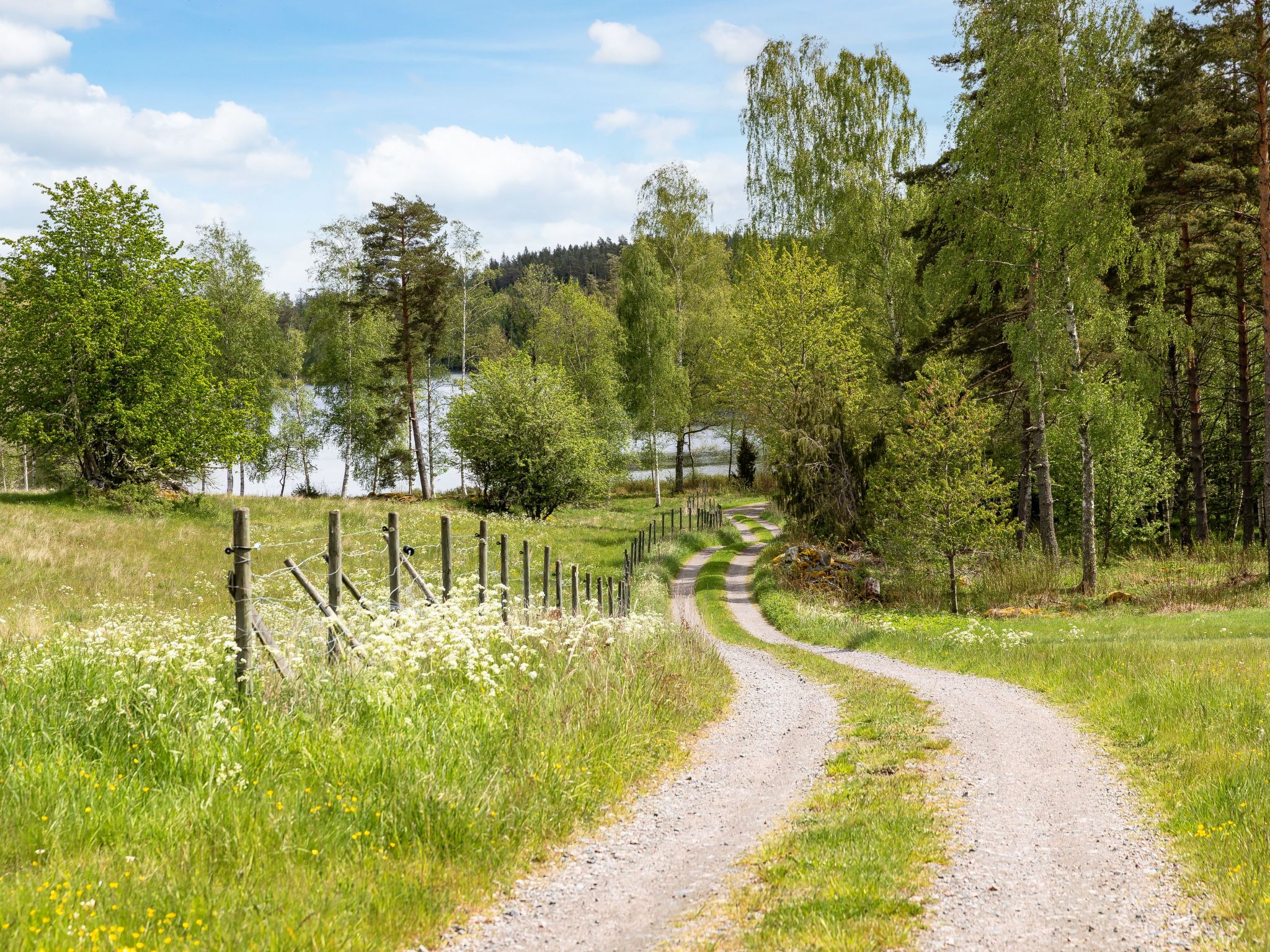 Rödmossa Femton-Buiten