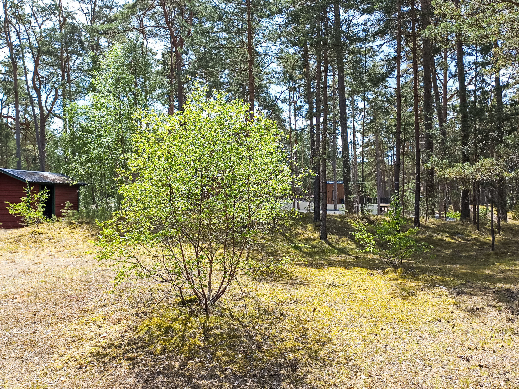 Vrijstaande bungalow in Yngsjö op 150 meter van de zee - foto 6
