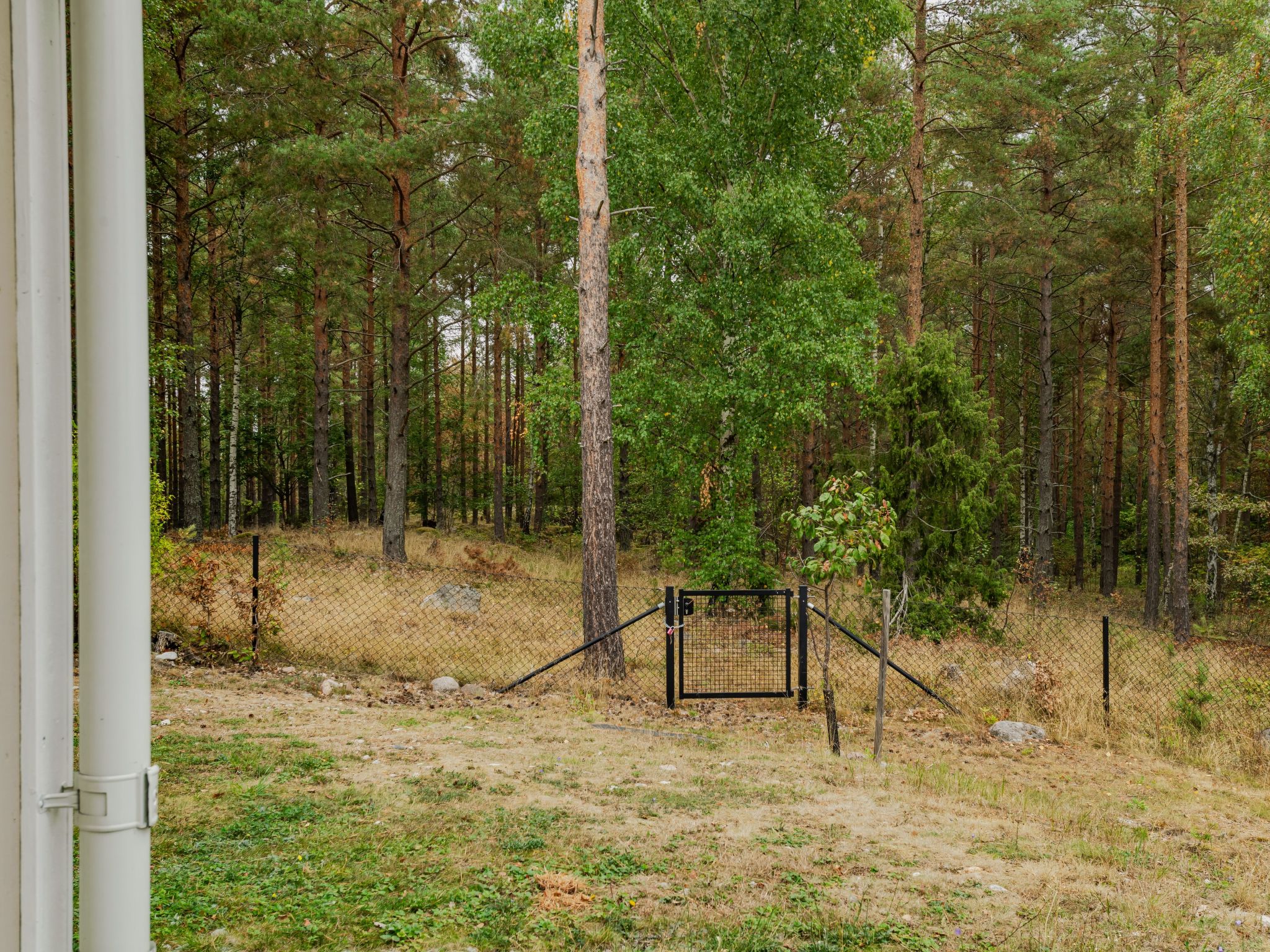 Björkfjärden - Buiten