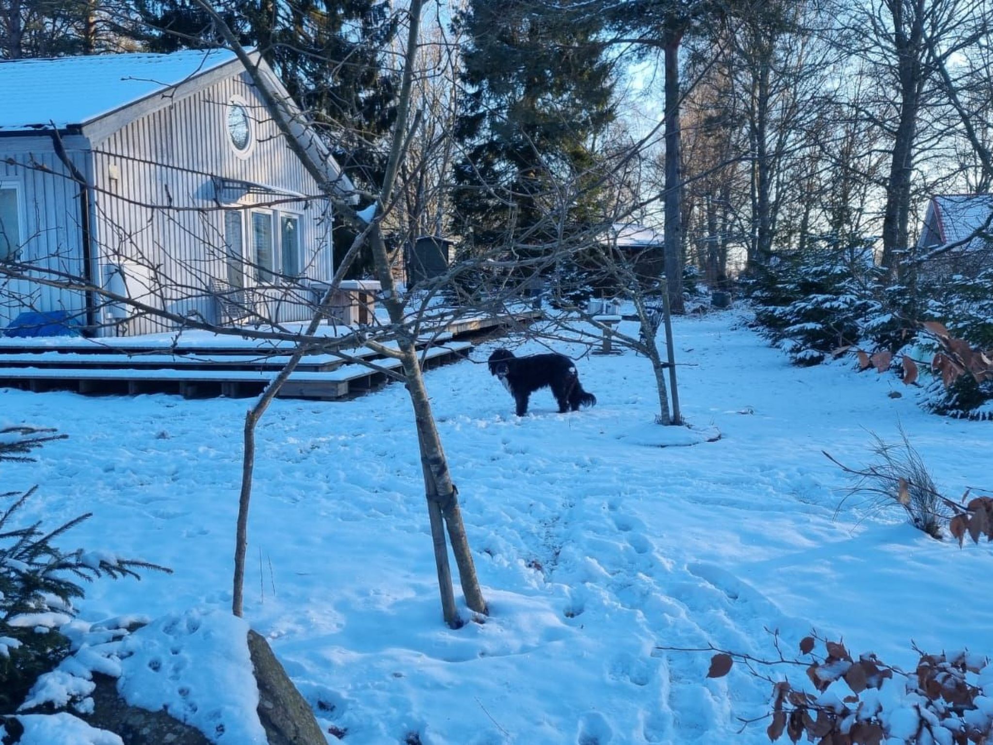 Mit Terrasse, Grill und Garten-Binnen